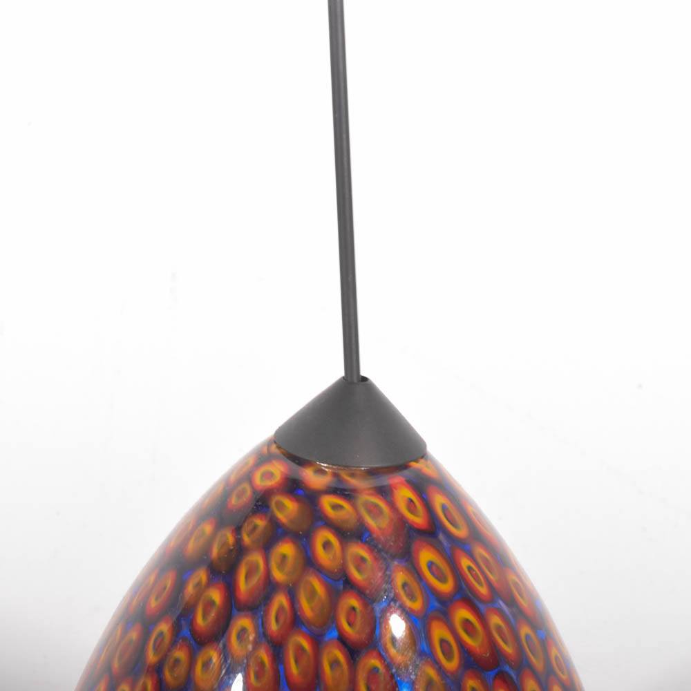 Encompass Lighting Art Glass Pendant Chandelier