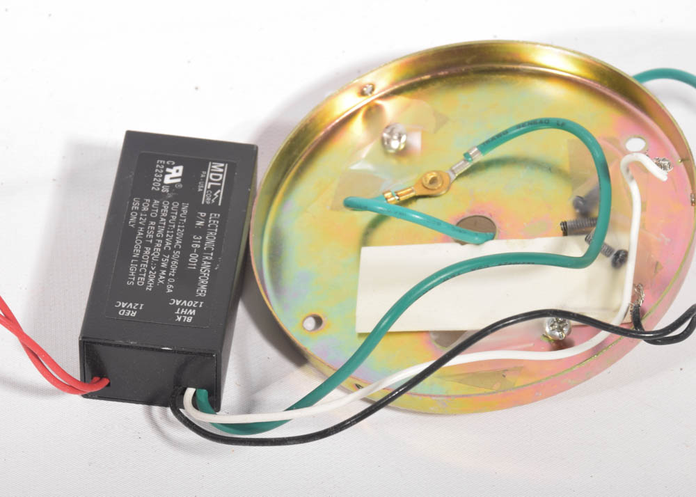 Encompass Lighting Art Glass Pendant Chandelier