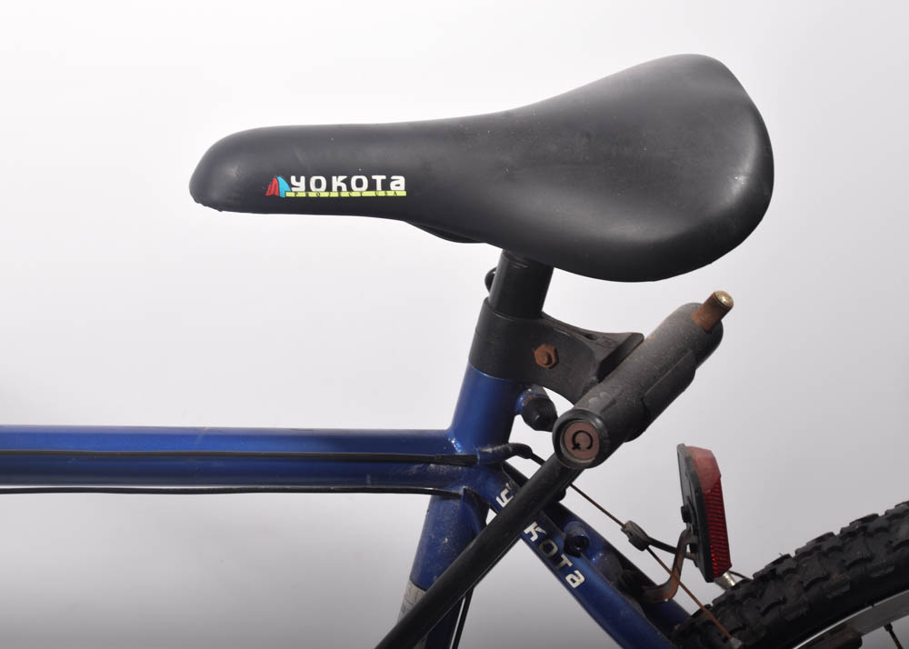 Yokota Ahwahnee Cross Bicycle and Specialized Air Tool Pro Floor Pump