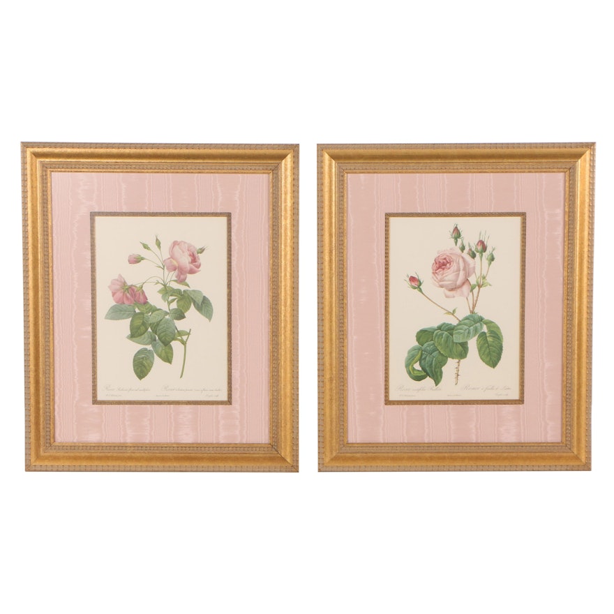 Offset Lithographs of Botanical Illustrations After Eustache Hyacinth Langlois