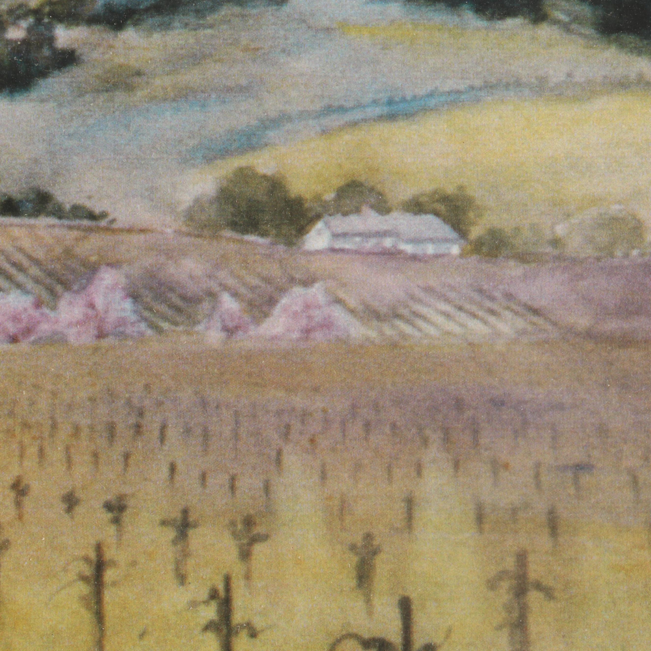 Paintings Including Works by Marty Ruiz, Sue Kemp and A. Wilson