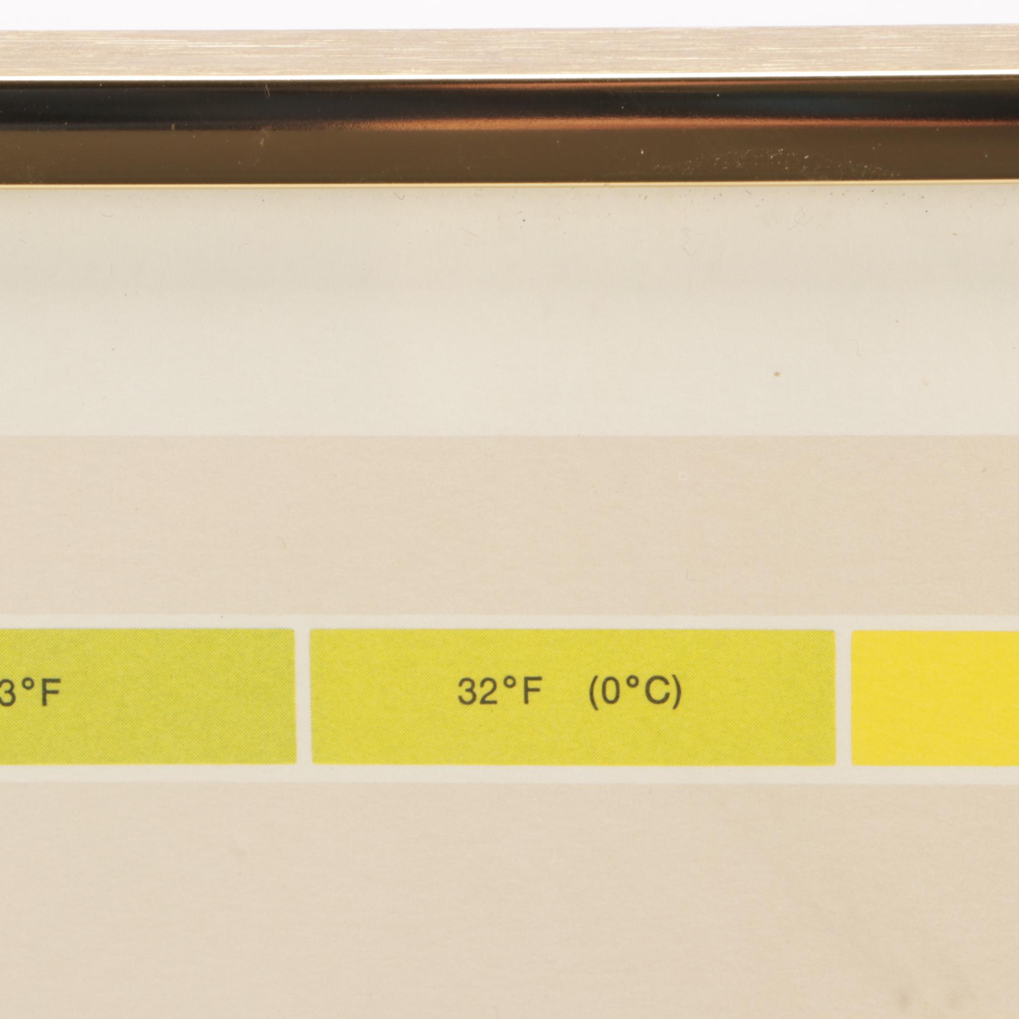 Buckminster Fuller Limited Edition Offset Lithograph of World Map