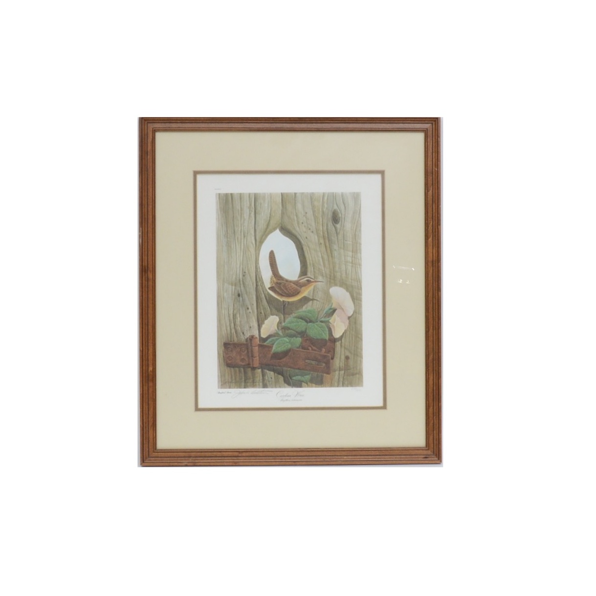 John Ruthven Signed Limited Edition Offset Lithograph "Carolina Wren"