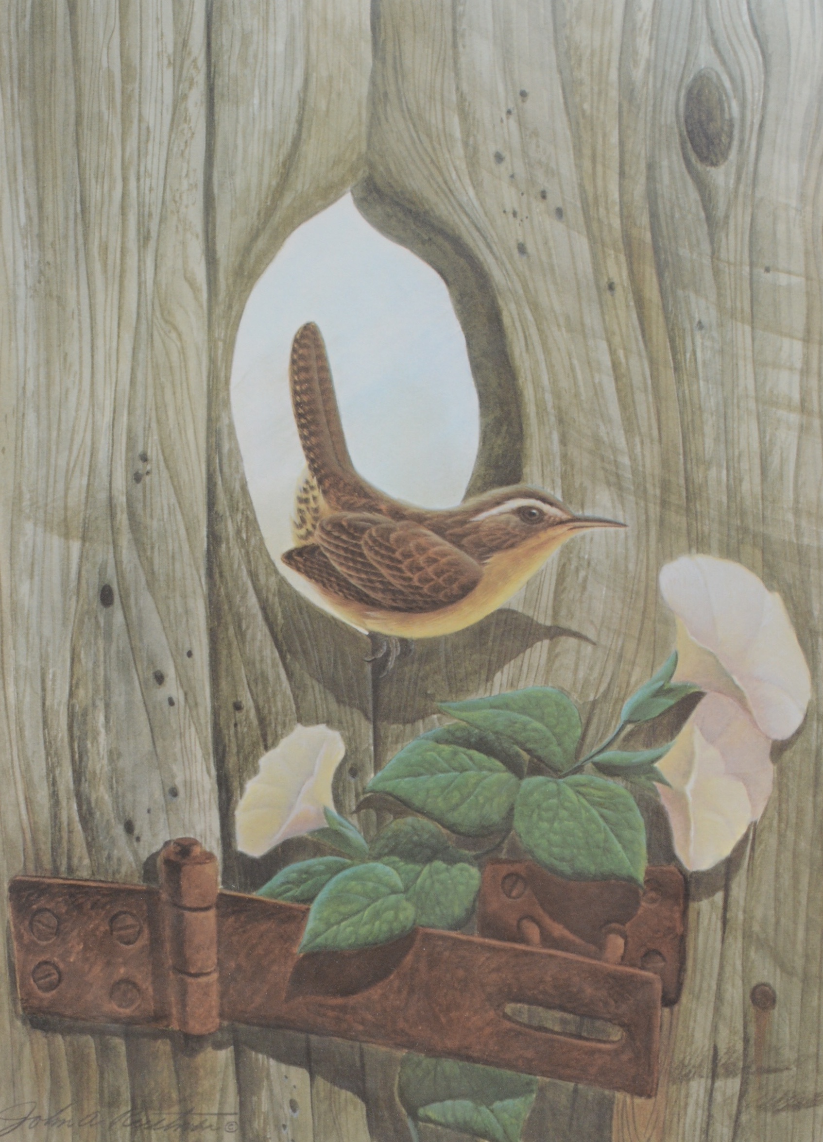 John Ruthven Signed Limited Edition Offset Lithograph "Carolina Wren"