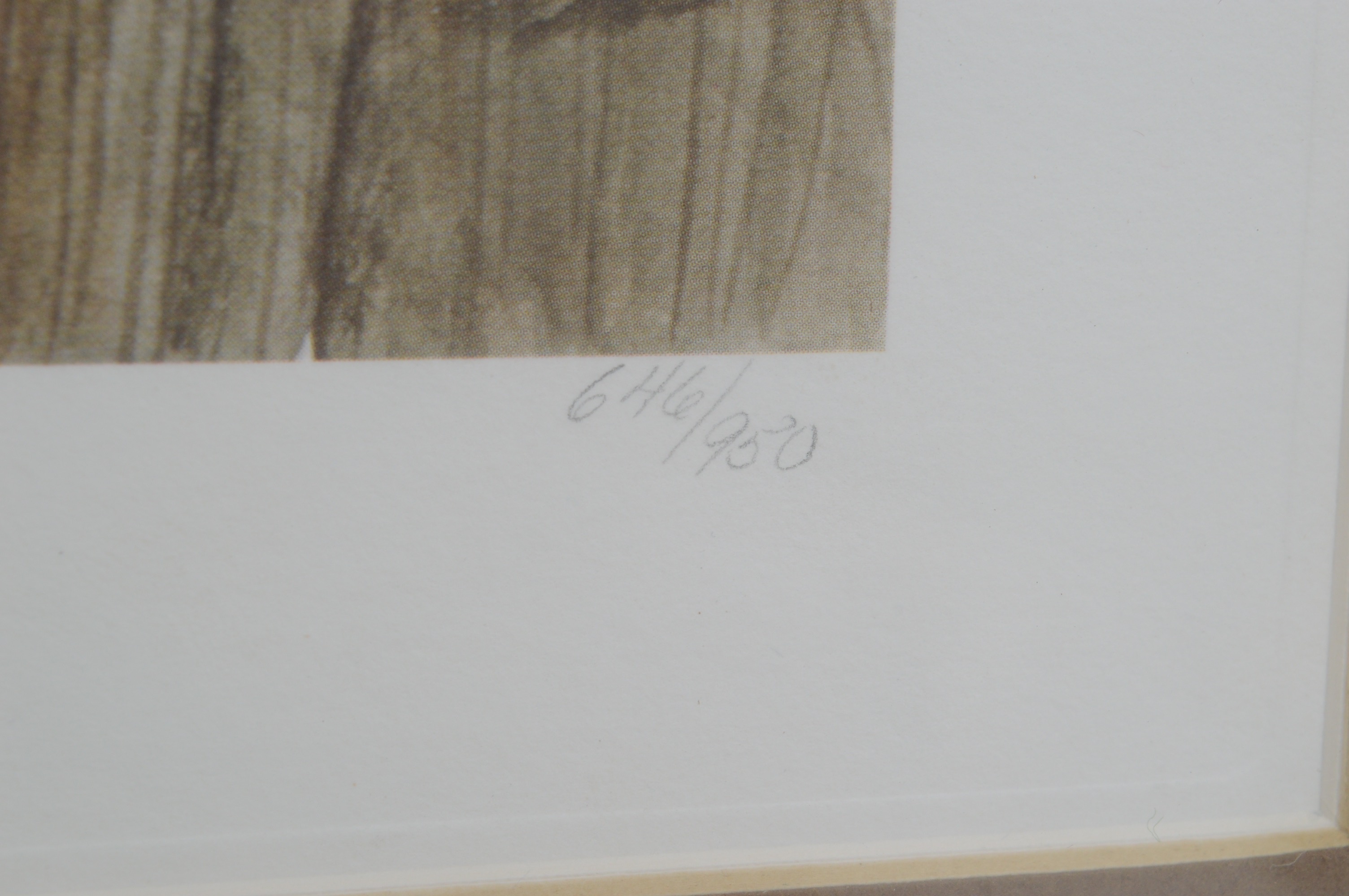 John Ruthven Signed Limited Edition Offset Lithograph "Carolina Wren"