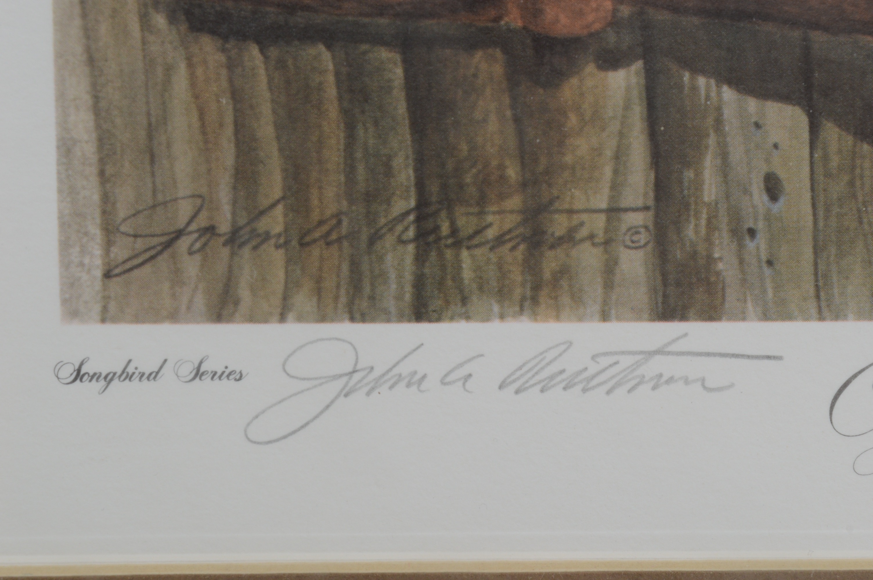 John Ruthven Signed Limited Edition Offset Lithograph "Carolina Wren"
