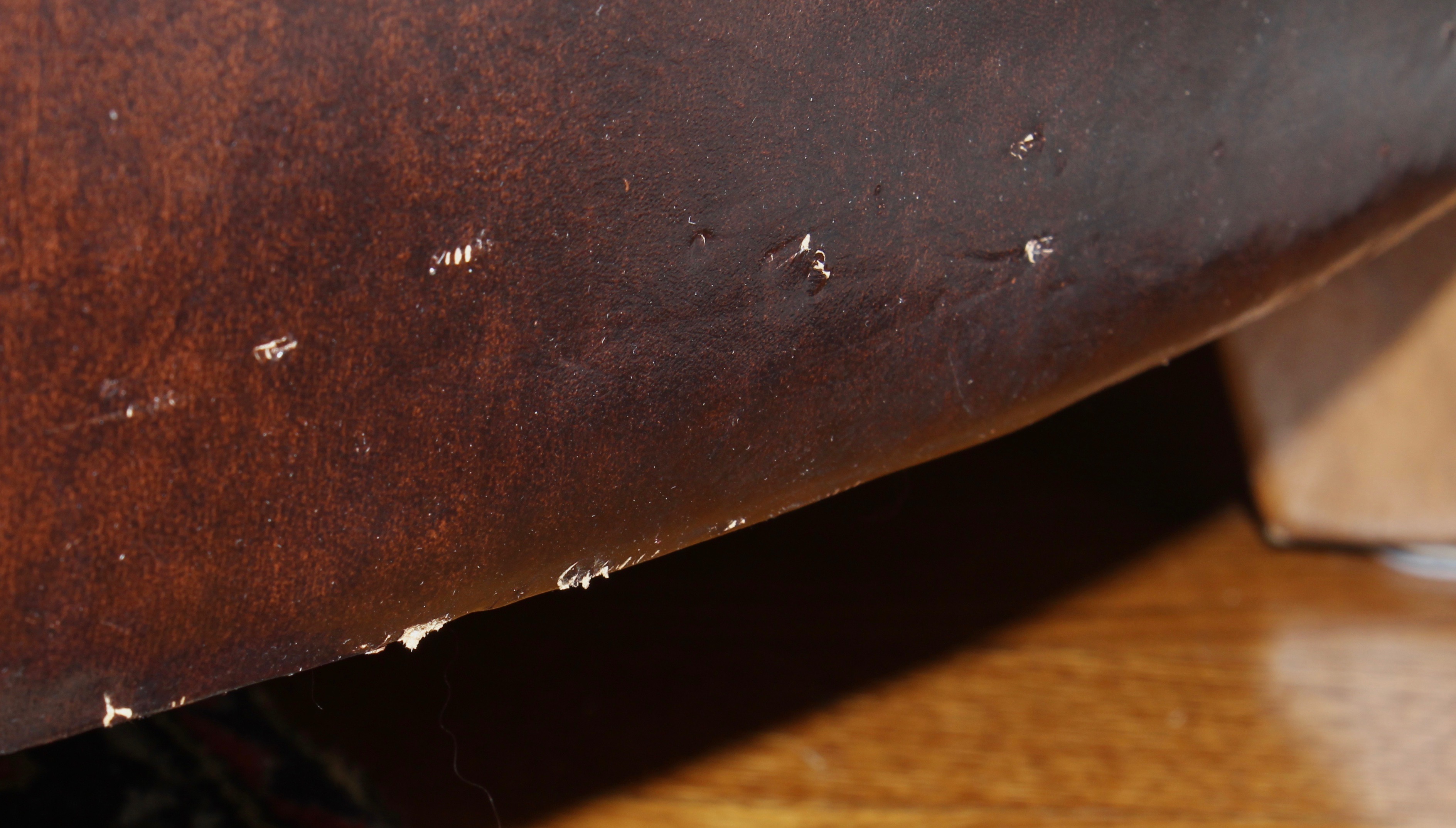 Pair of Chesterfield Brown Leather Armchairs, 20th Century
