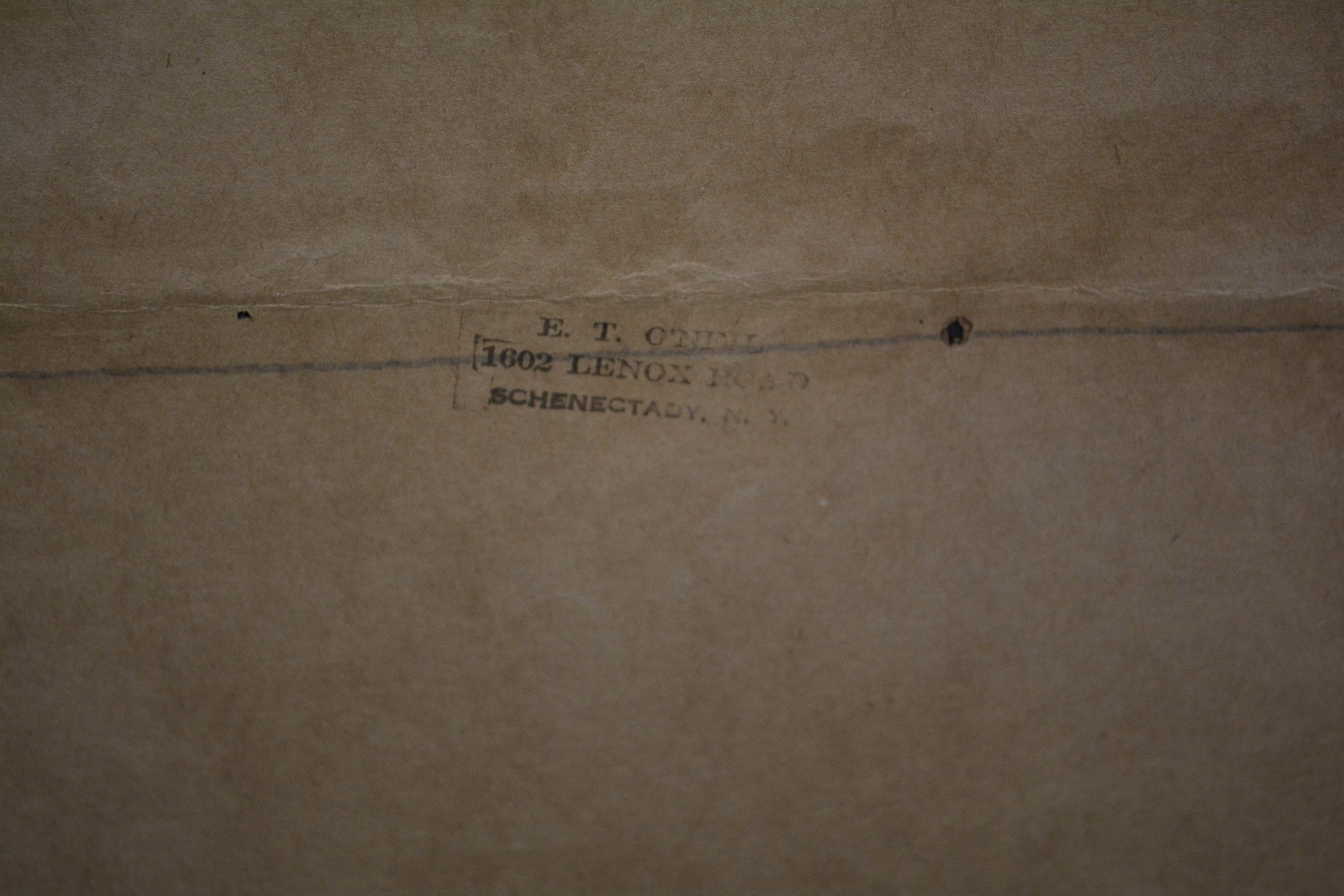 Needlepoint of Woman Feeding a Parrot