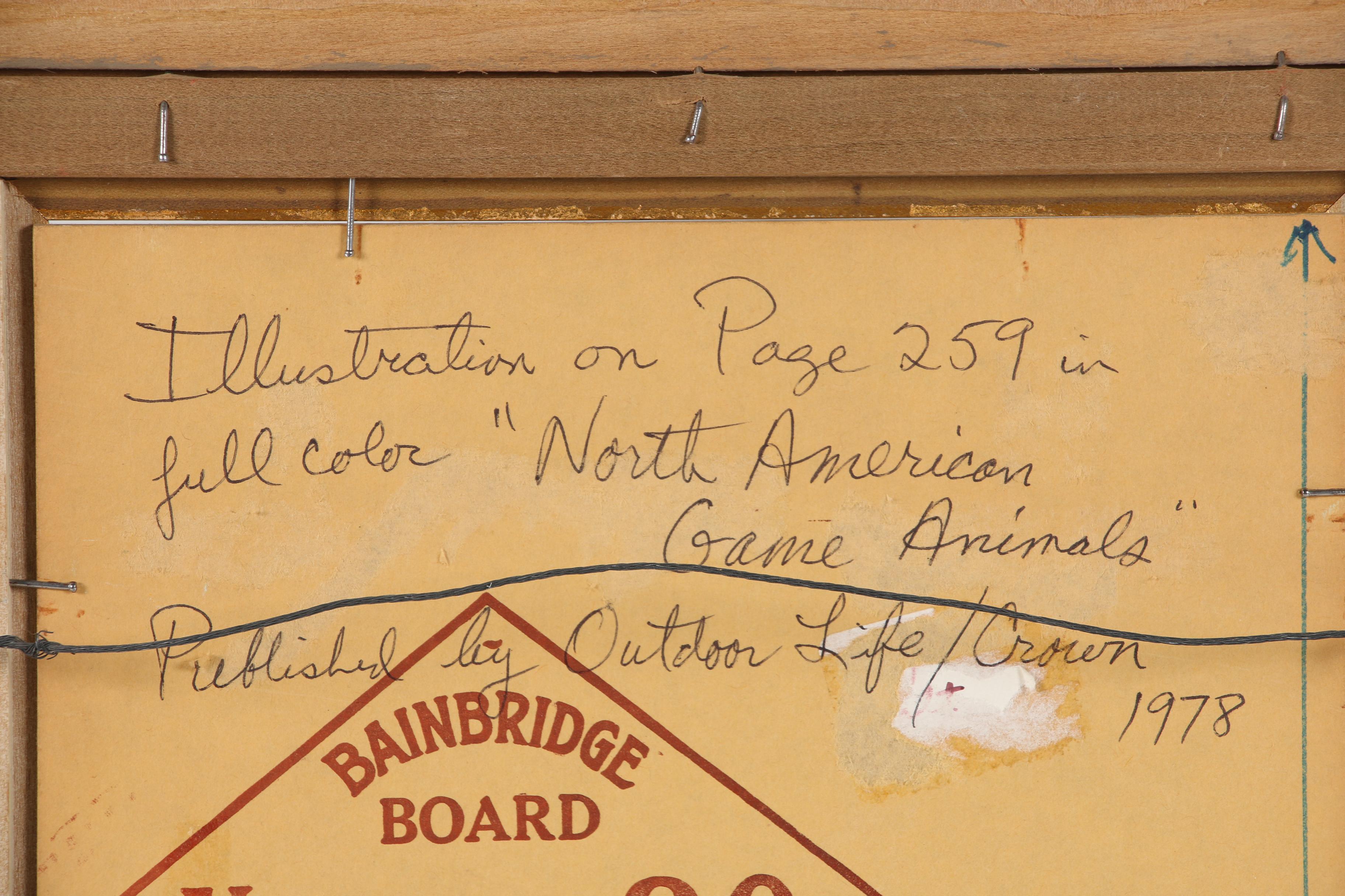 Douglas Allen 1978 Oil Wildlife Illustration for "North American Game Animals"