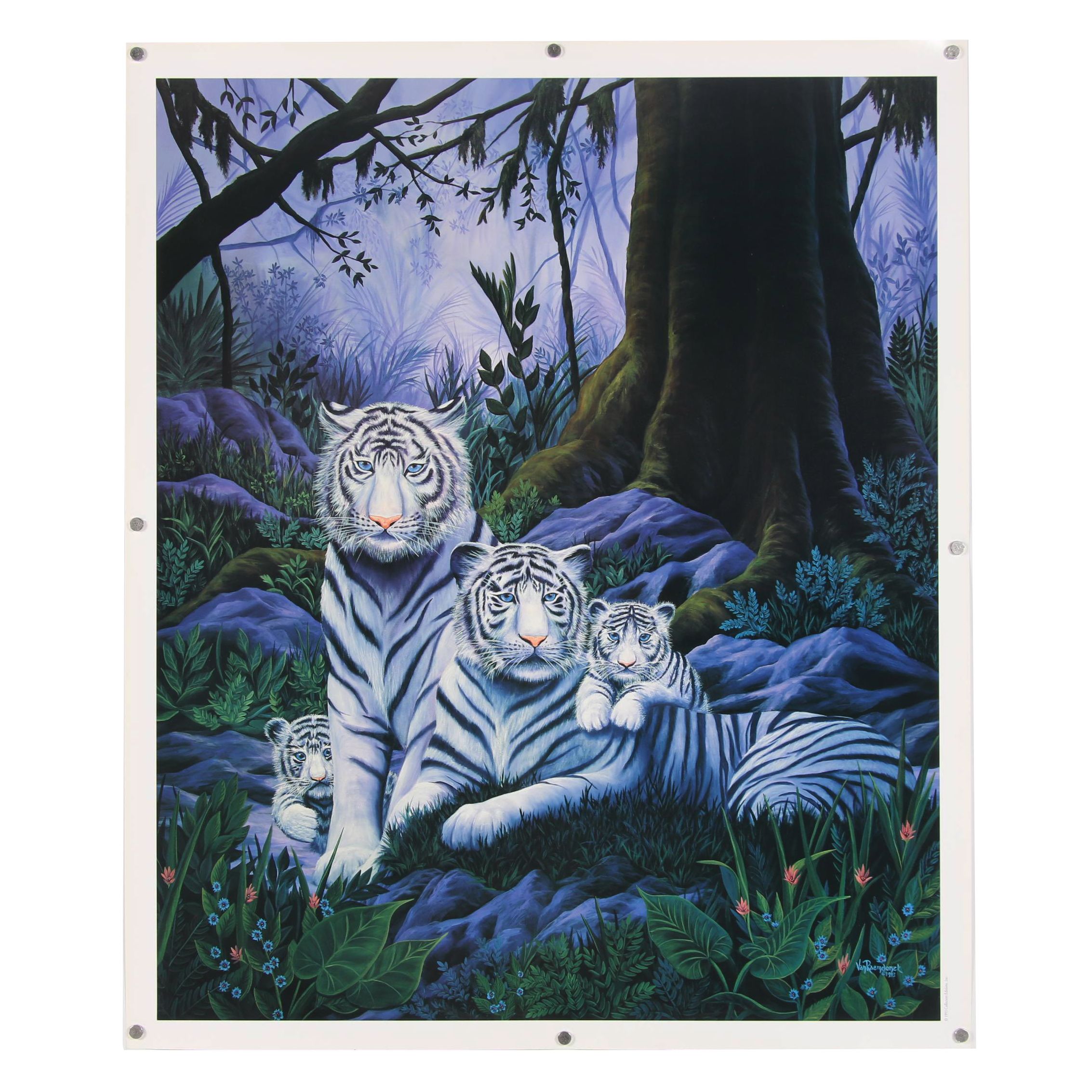 Offset Lithograph After Eric Van Raemdonck "Savage Grace"