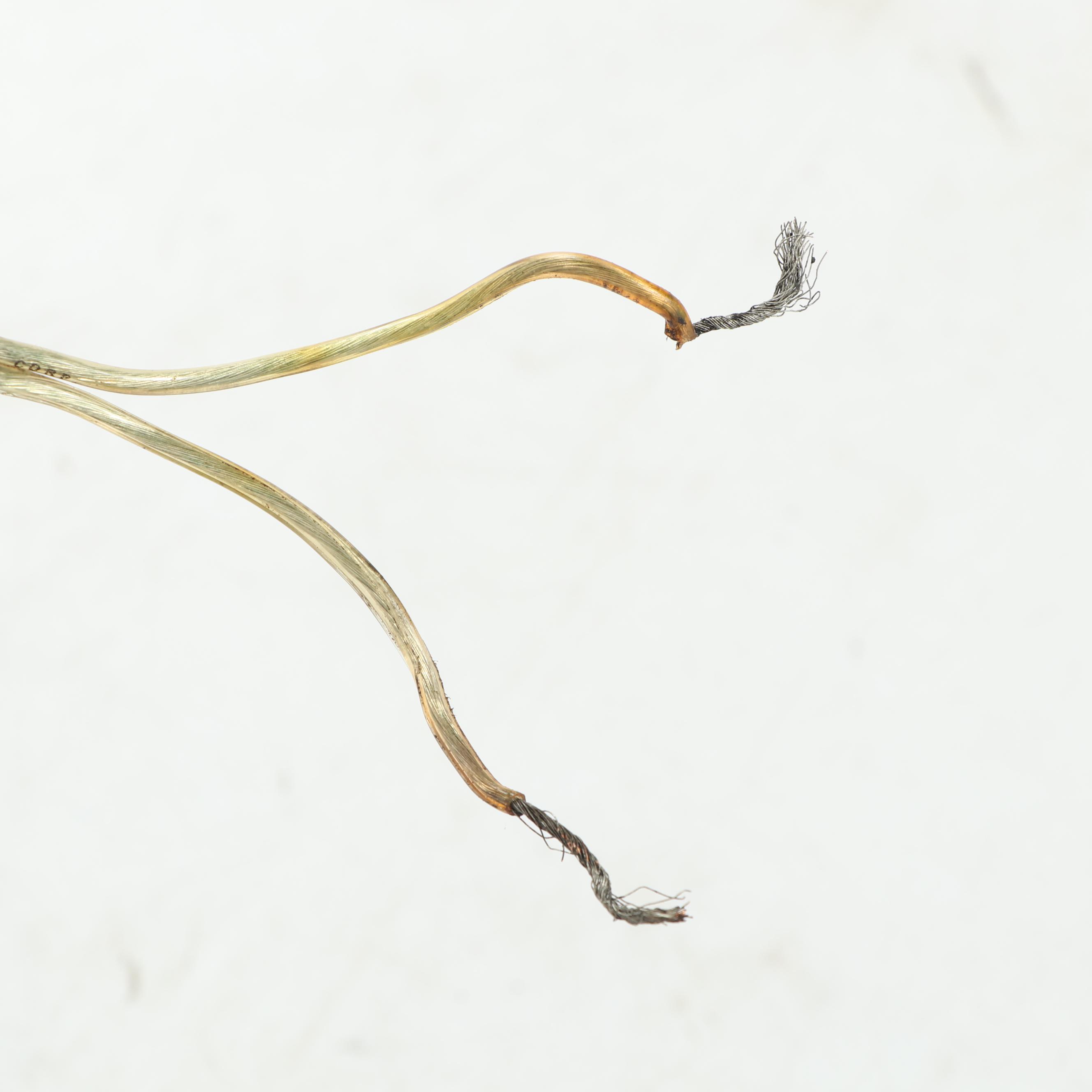 Vintage Brass and Wood Tavern Style Chandelier with Frosted Glass Shades