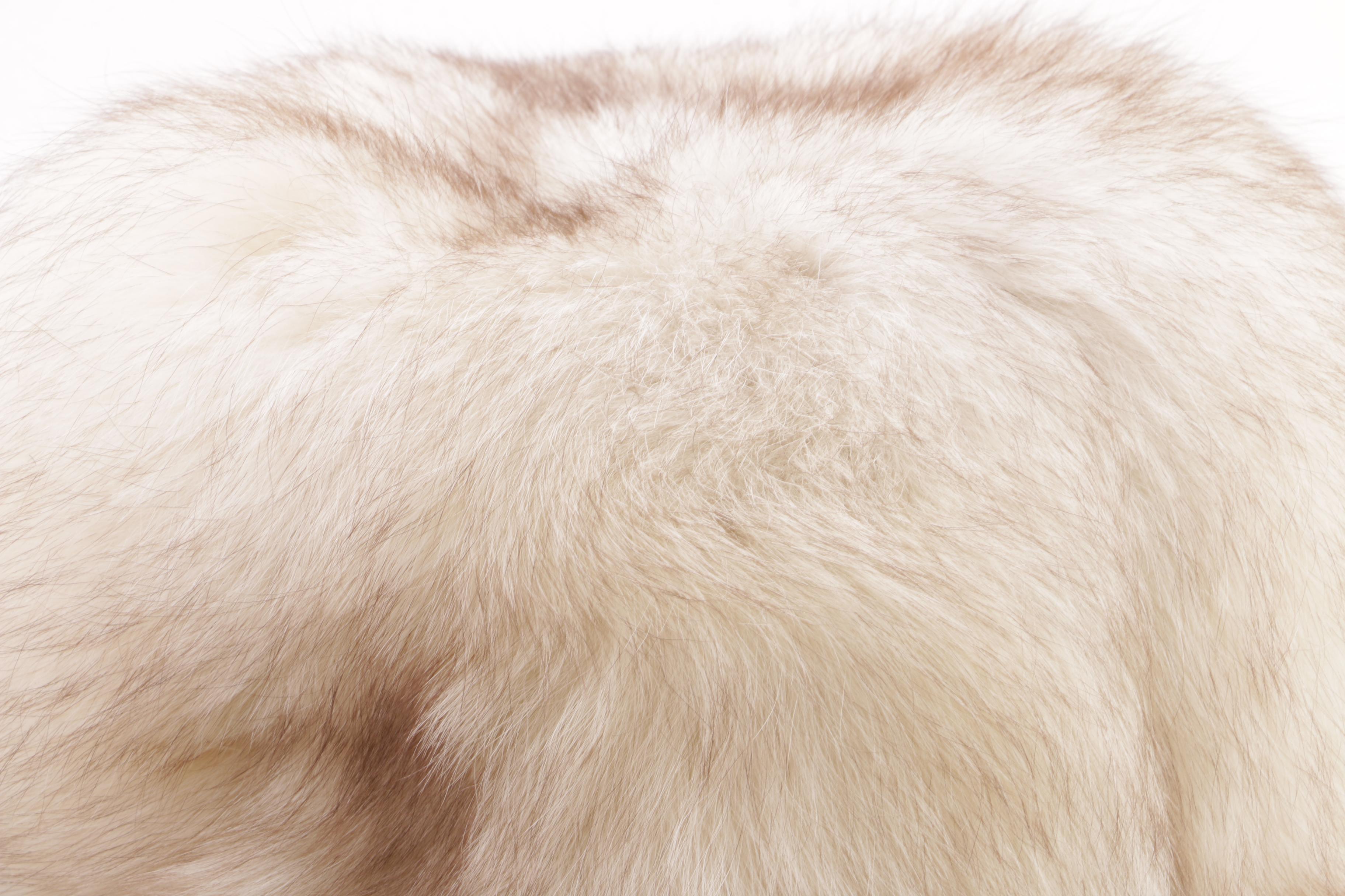 Women's Vintage Bachrach's Millinery Fox Fur Hat with Hat Box