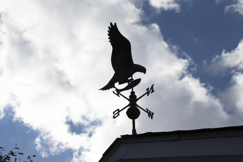 Eagle Catching Fish Weather Vane
