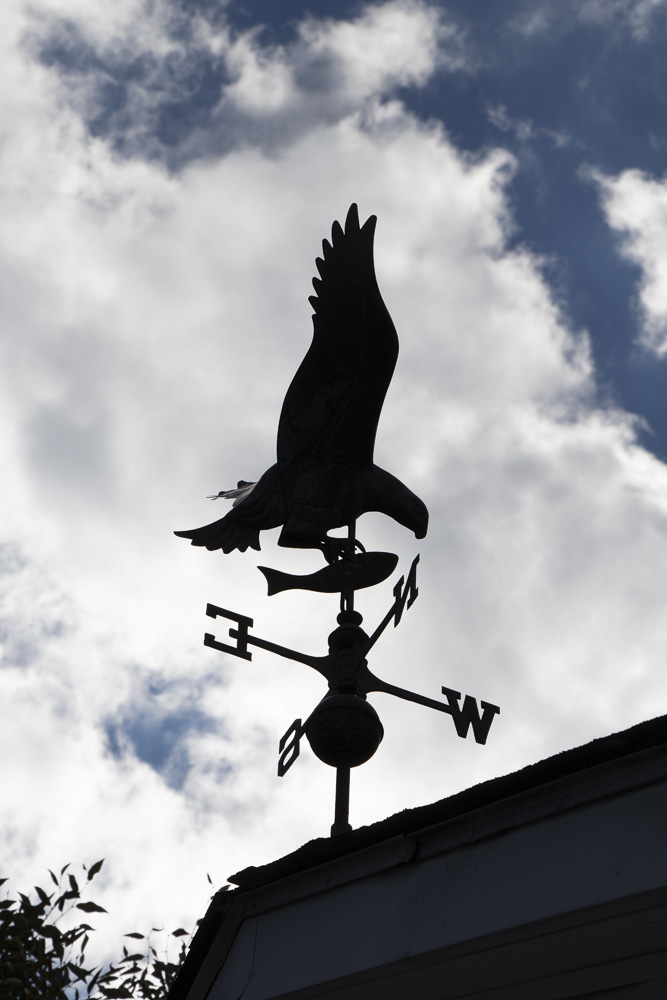 Eagle Catching Fish Weather Vane
