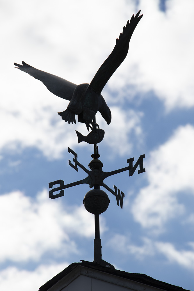 Eagle Catching Fish Weather Vane