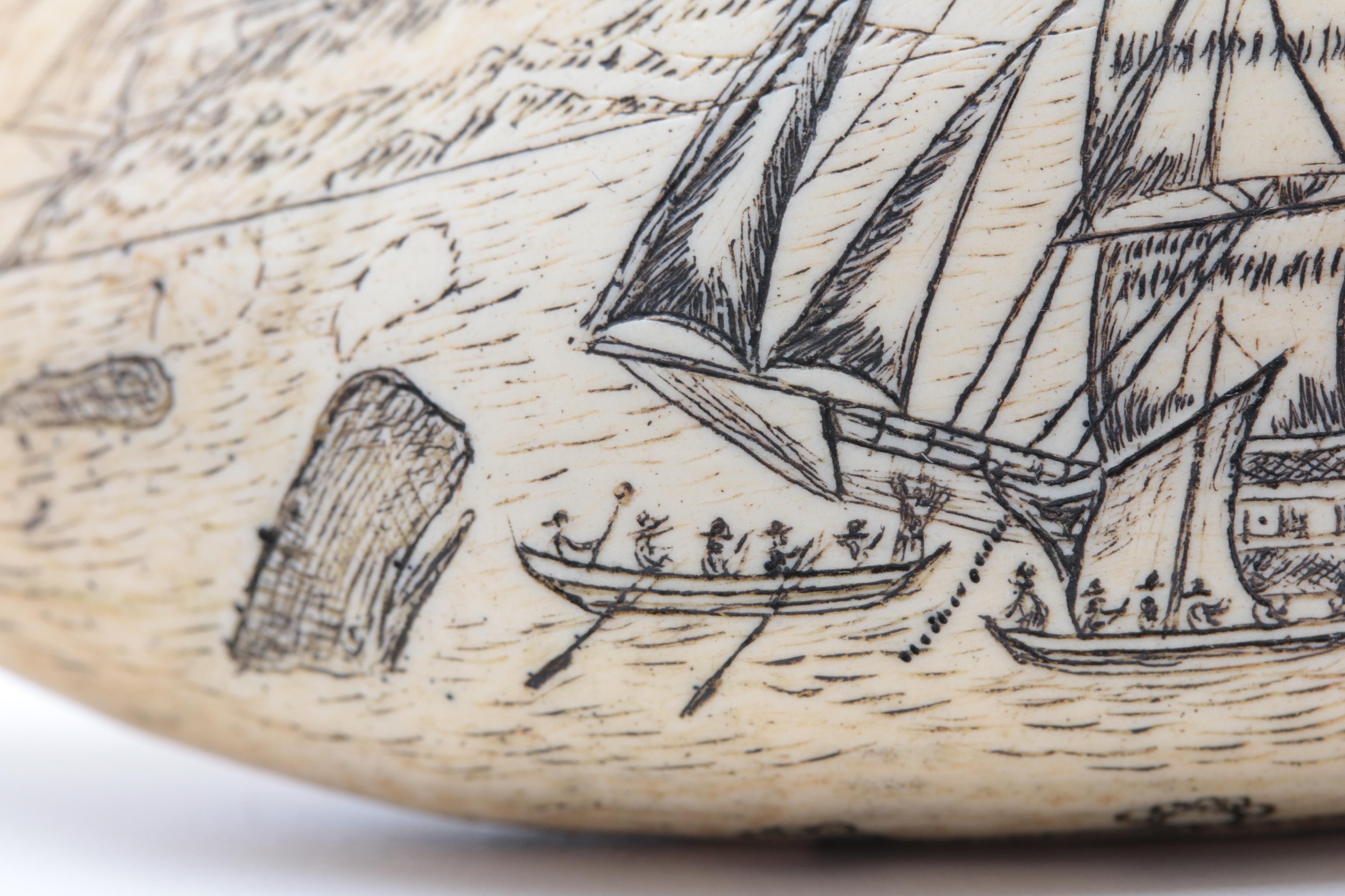 Replica Whale Tooth Scrimshaw on Resin  "Whaler Lion" 1827