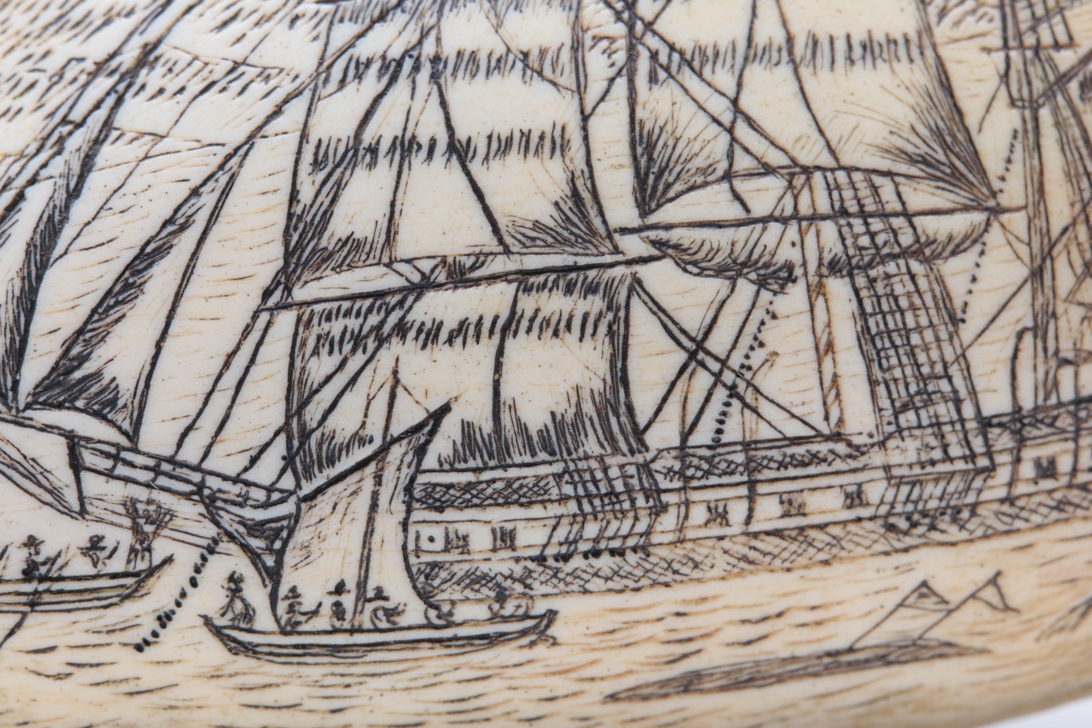 Replica Whale Tooth Scrimshaw on Resin  "Whaler Lion" 1827