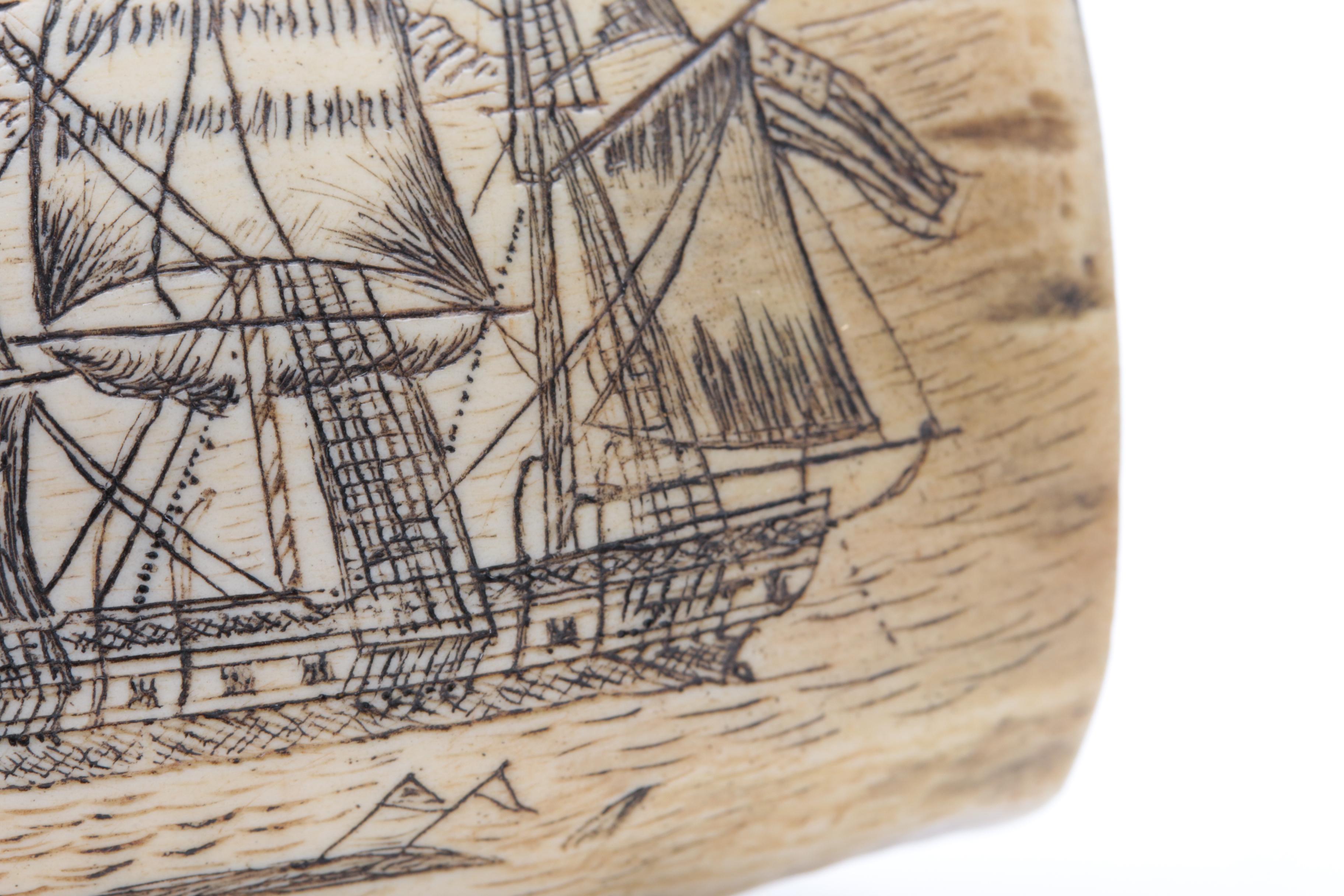Replica Whale Tooth Scrimshaw on Resin  "Whaler Lion" 1827