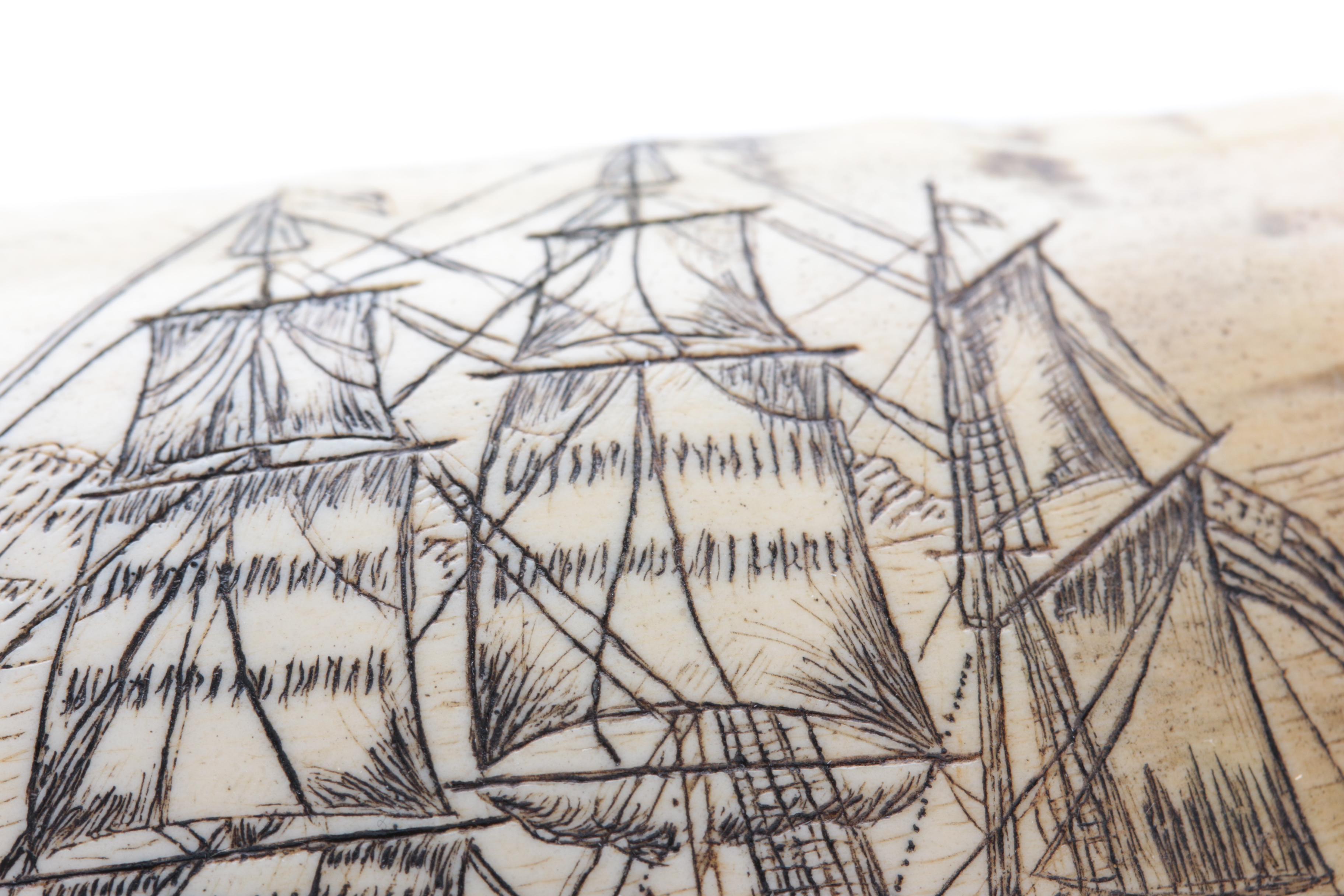 Replica Whale Tooth Scrimshaw on Resin  "Whaler Lion" 1827