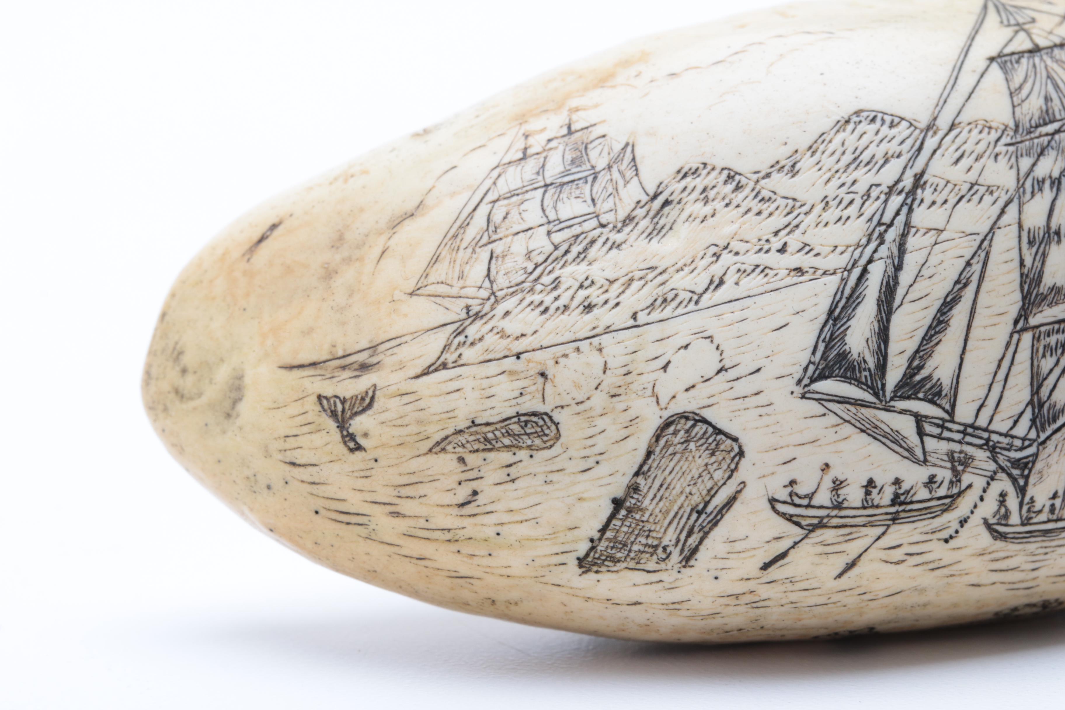 Replica Whale Tooth Scrimshaw on Resin  "Whaler Lion" 1827