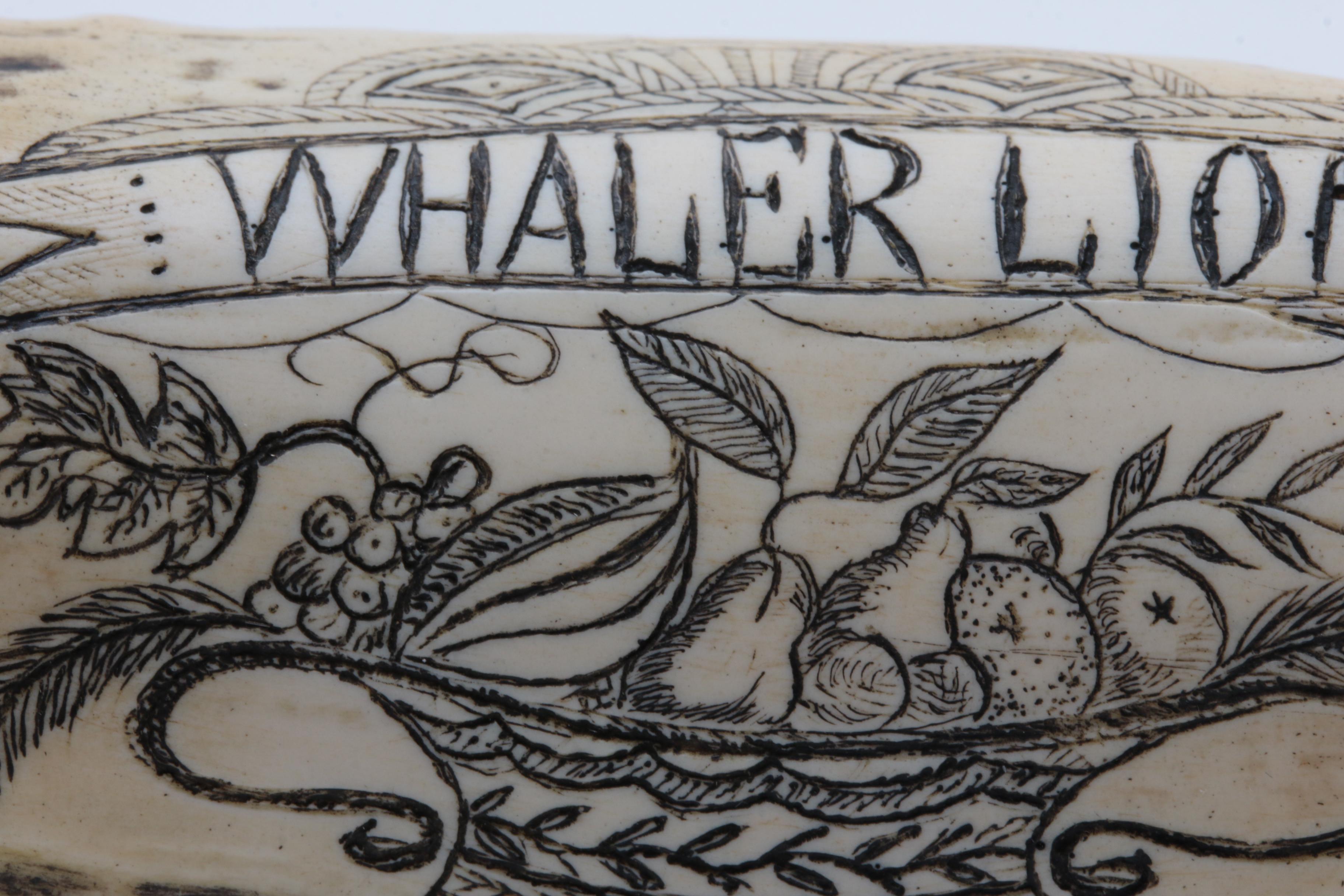 Replica Whale Tooth Scrimshaw on Resin  "Whaler Lion" 1827