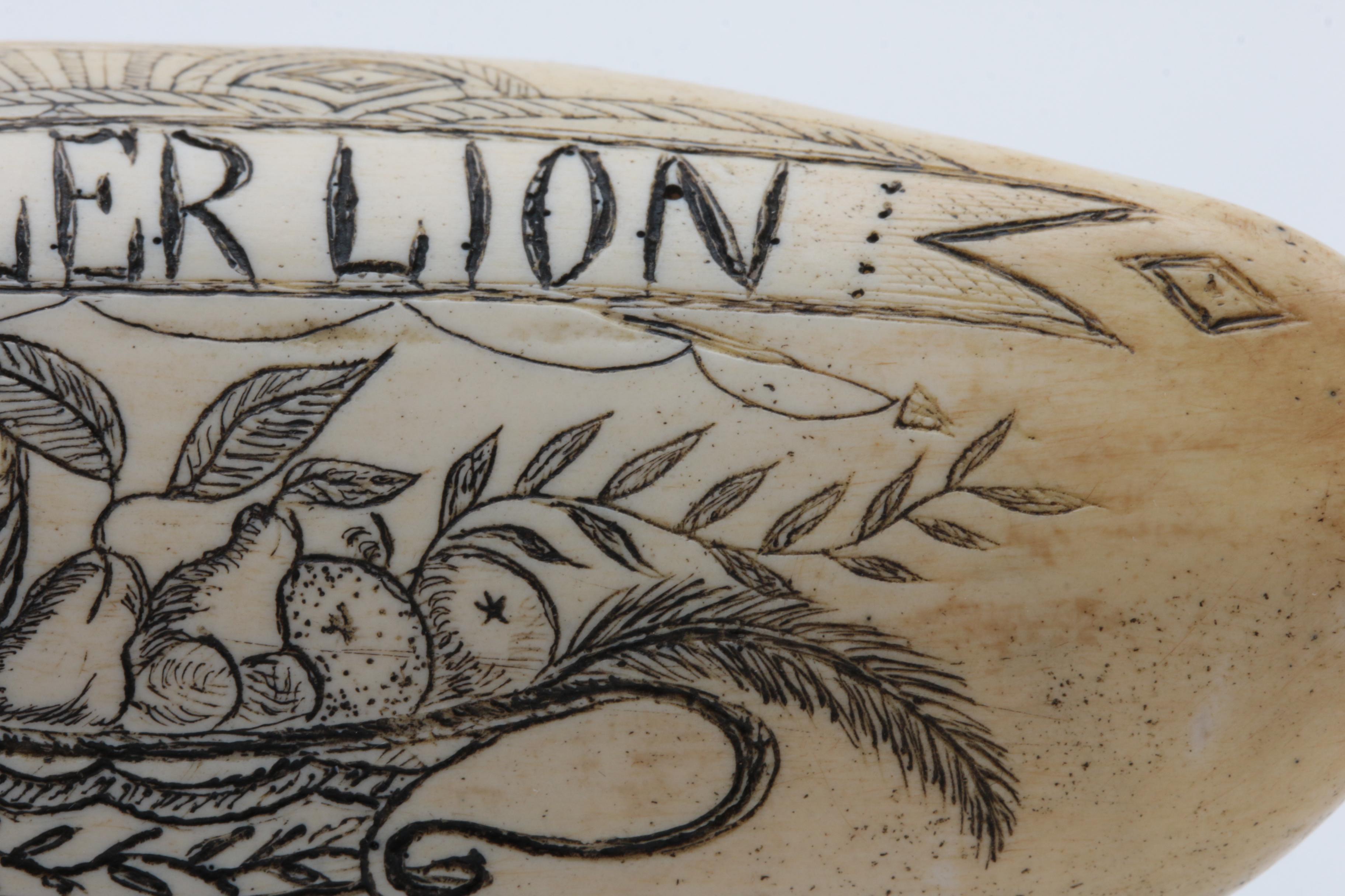 Replica Whale Tooth Scrimshaw on Resin  "Whaler Lion" 1827