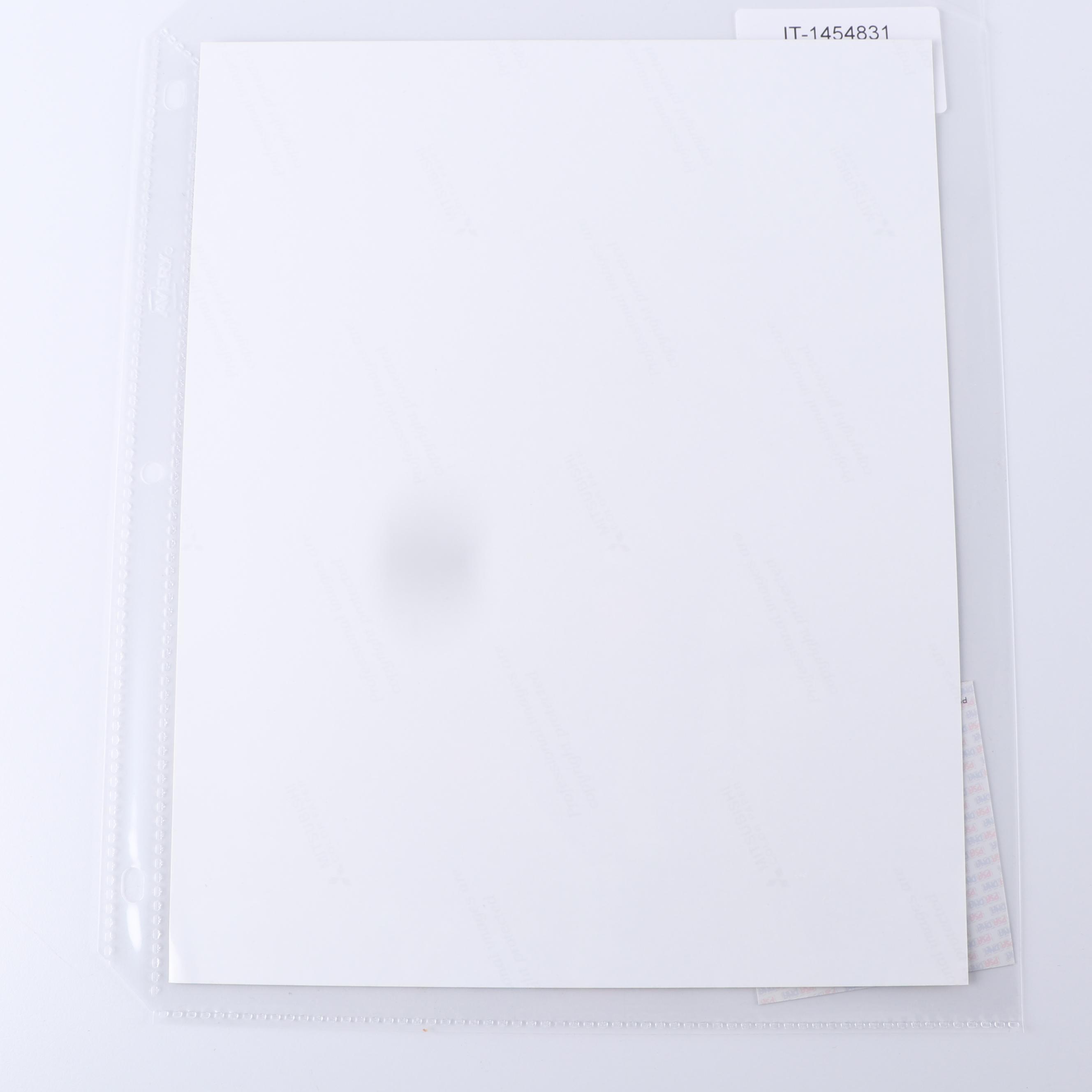 Magic Johnson Autographed Digital Print with Larry Bird - PSA/DNA COA