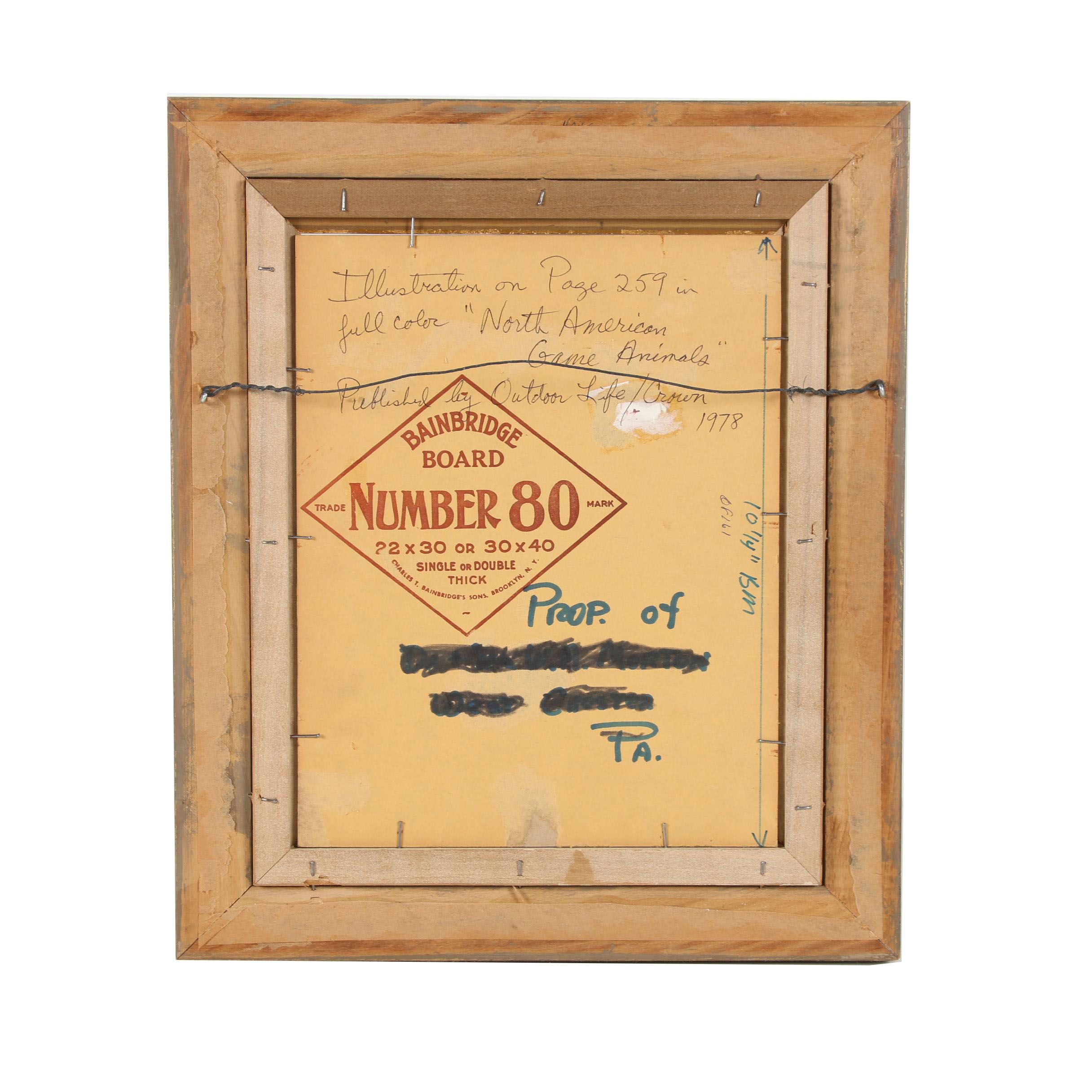 Douglas Allen 1978 Oil Wildlife Illustration for "North American Game Animals"