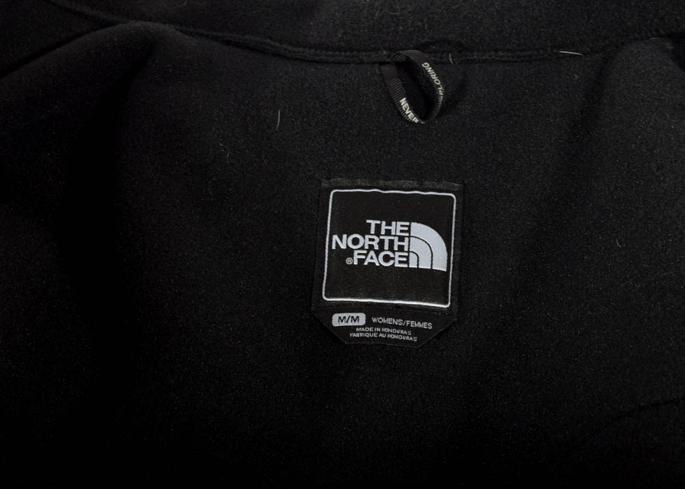 Women's The North Face Denali Polartec Classic 300 Jacket