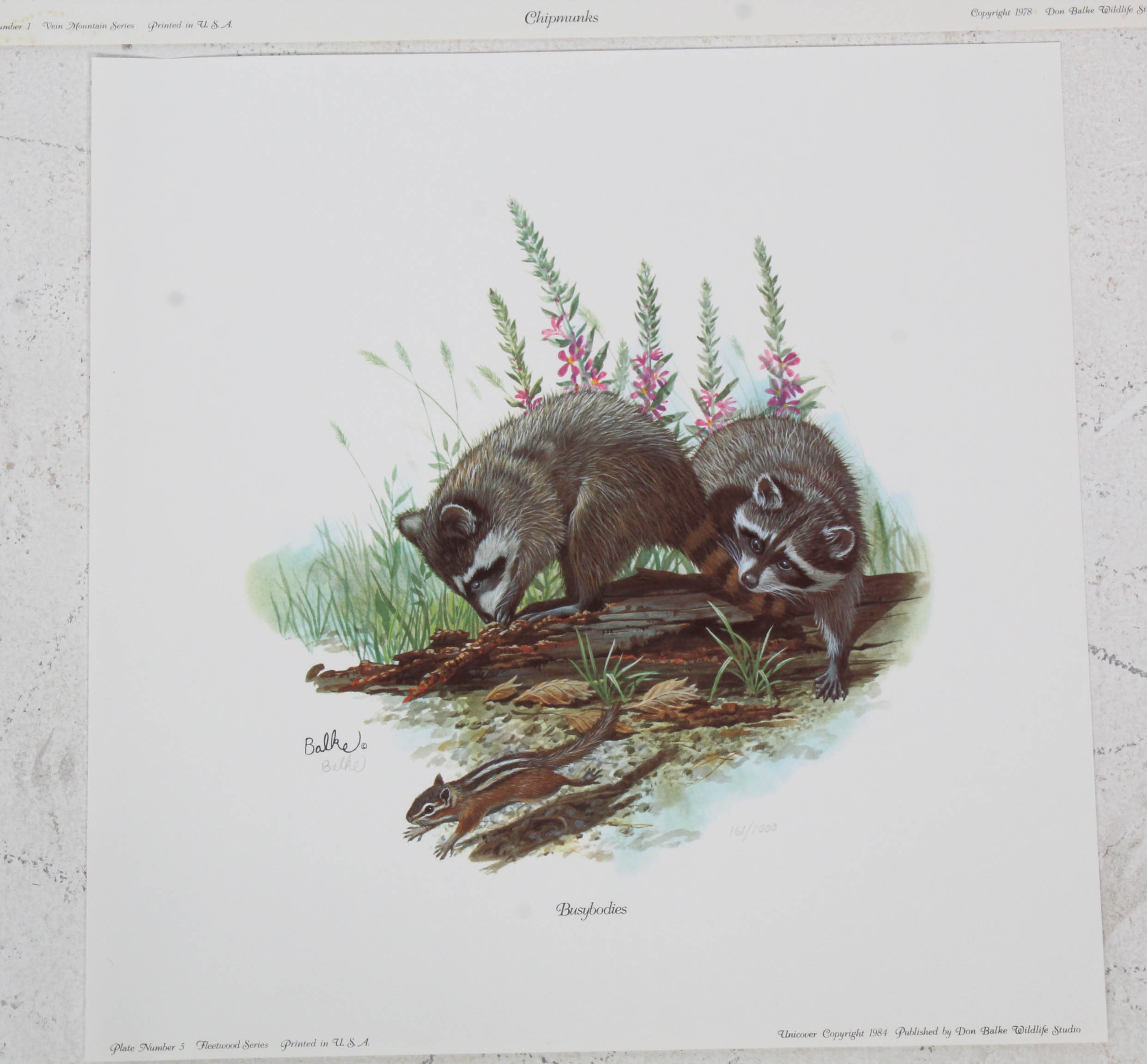 Don Balke Limited Edition Wildlife Prints