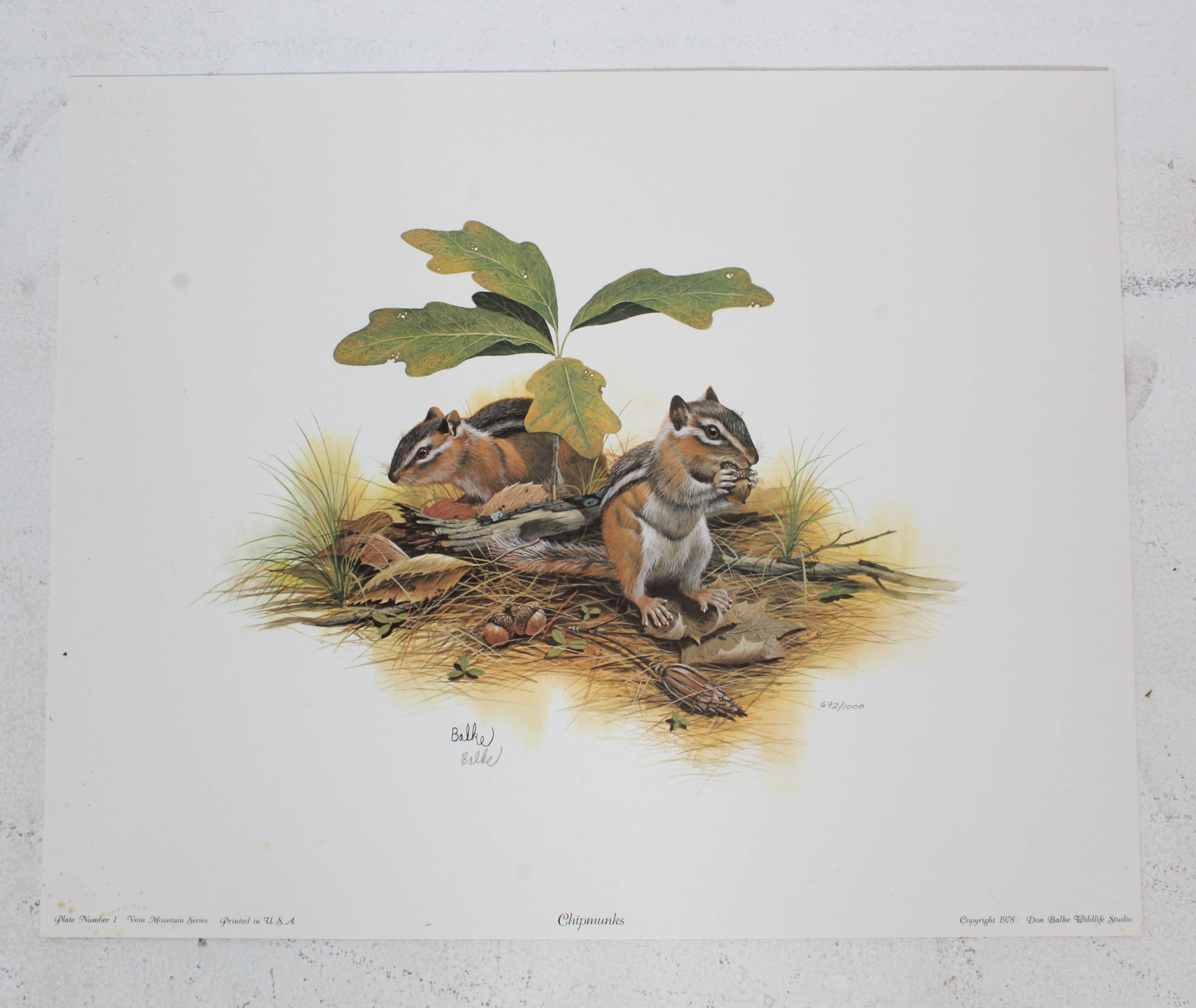 Don Balke Limited Edition Wildlife Prints