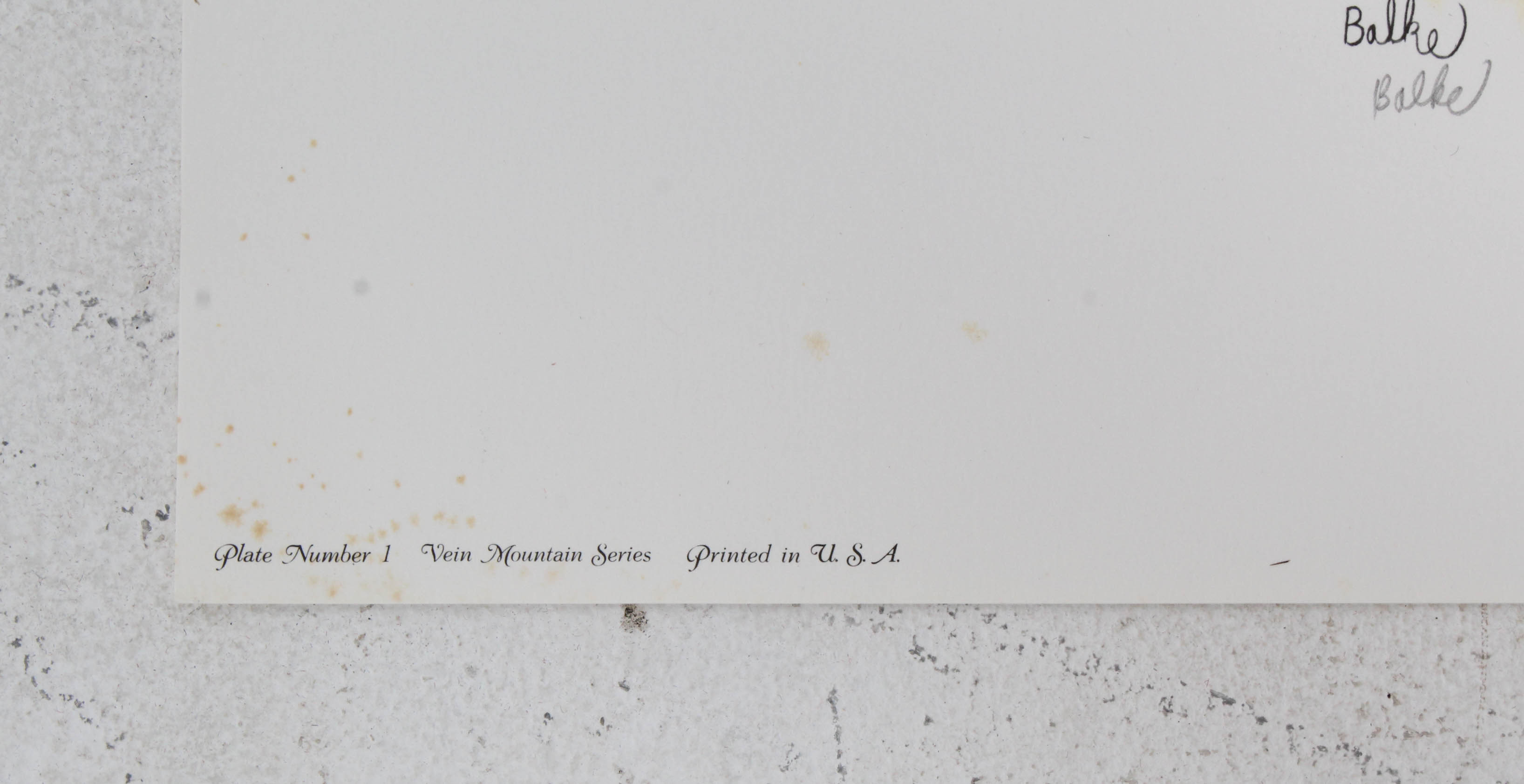 Don Balke Limited Edition Wildlife Prints