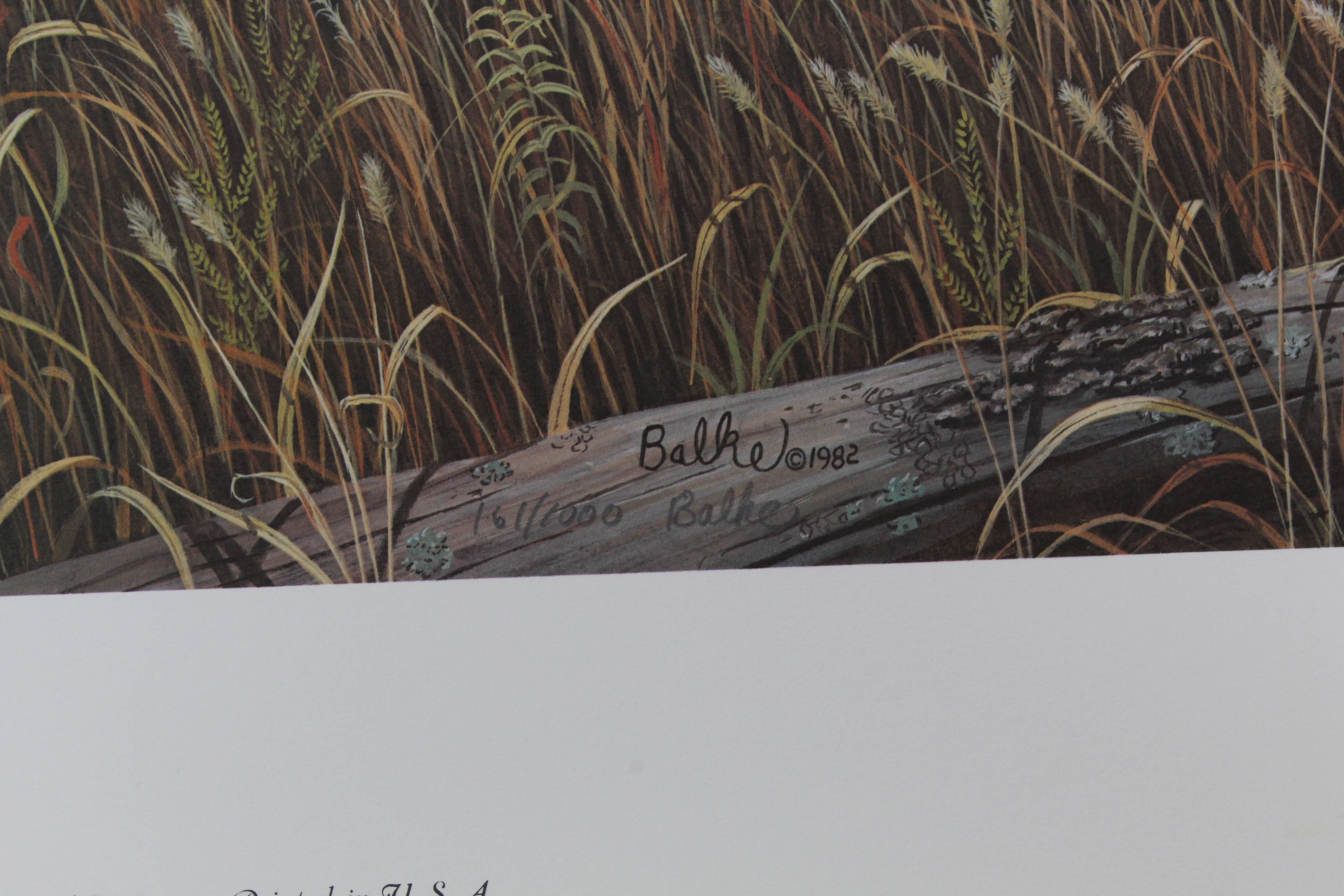 Don Balke Limited Edition Print "Autumn Day"