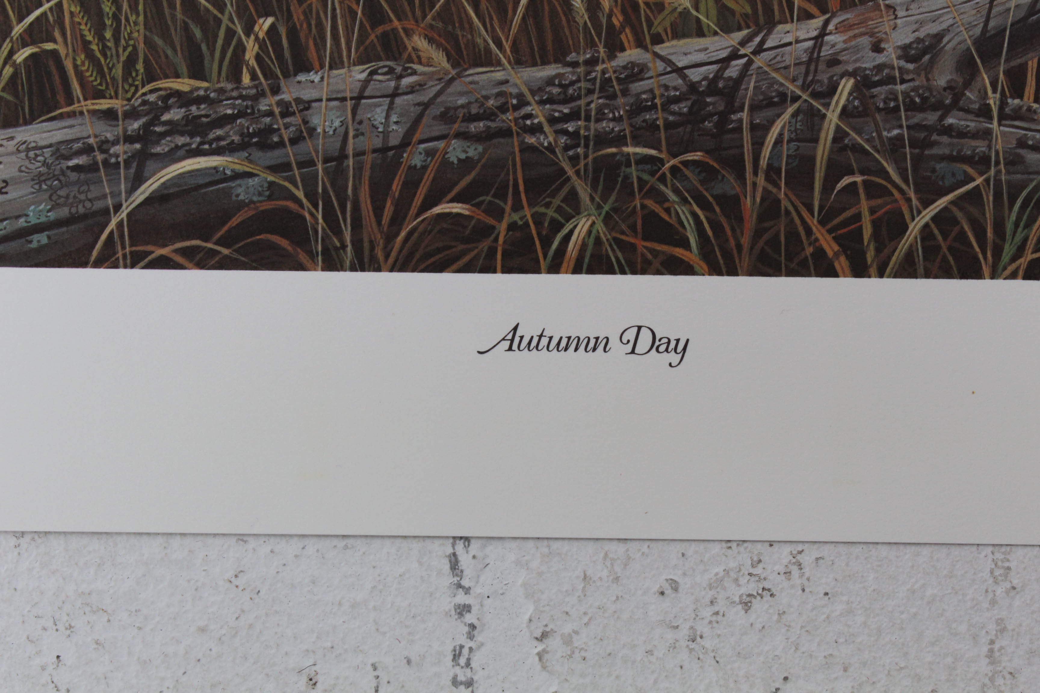 Don Balke Limited Edition Print "Autumn Day"