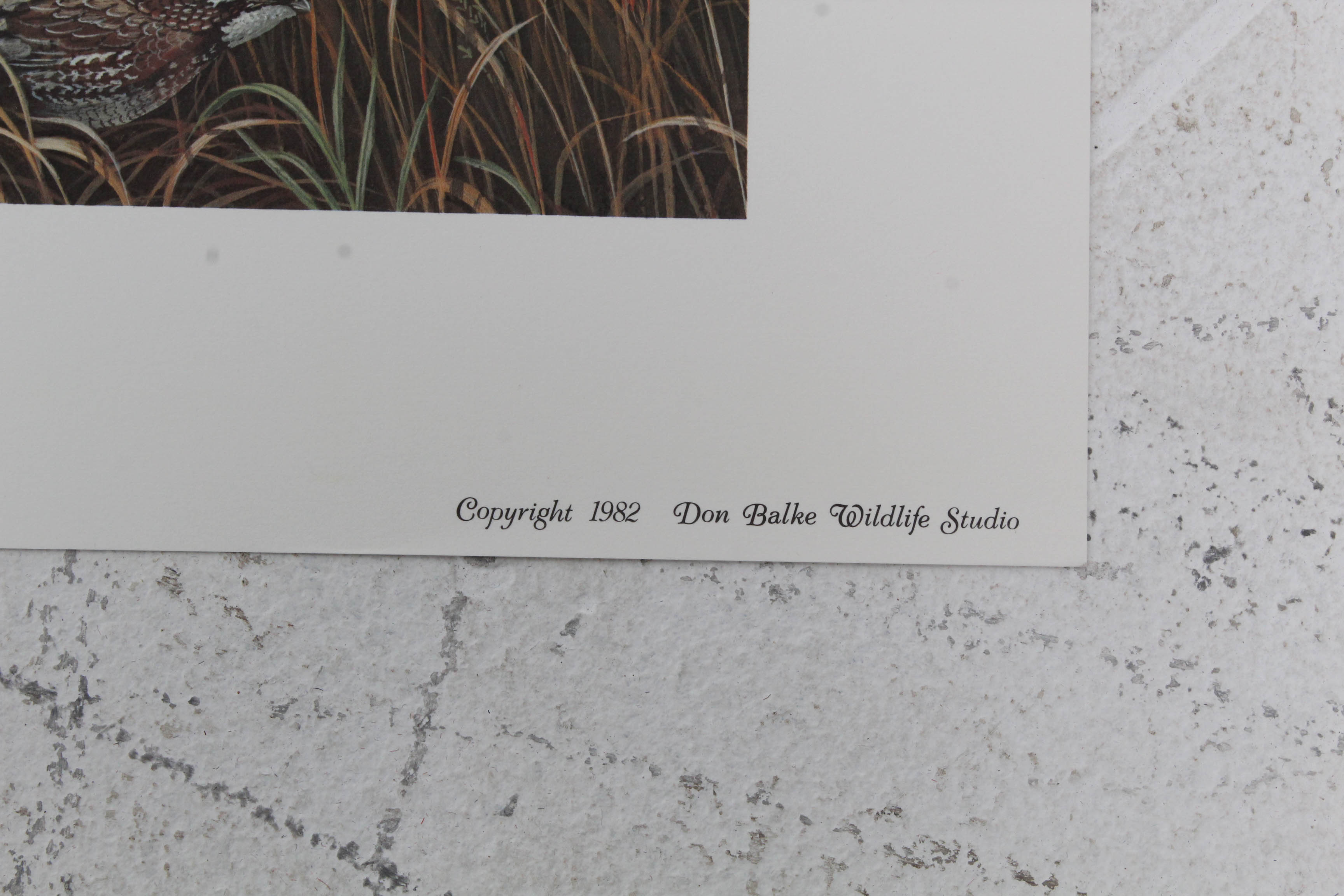 Don Balke Limited Edition Print "Autumn Day"