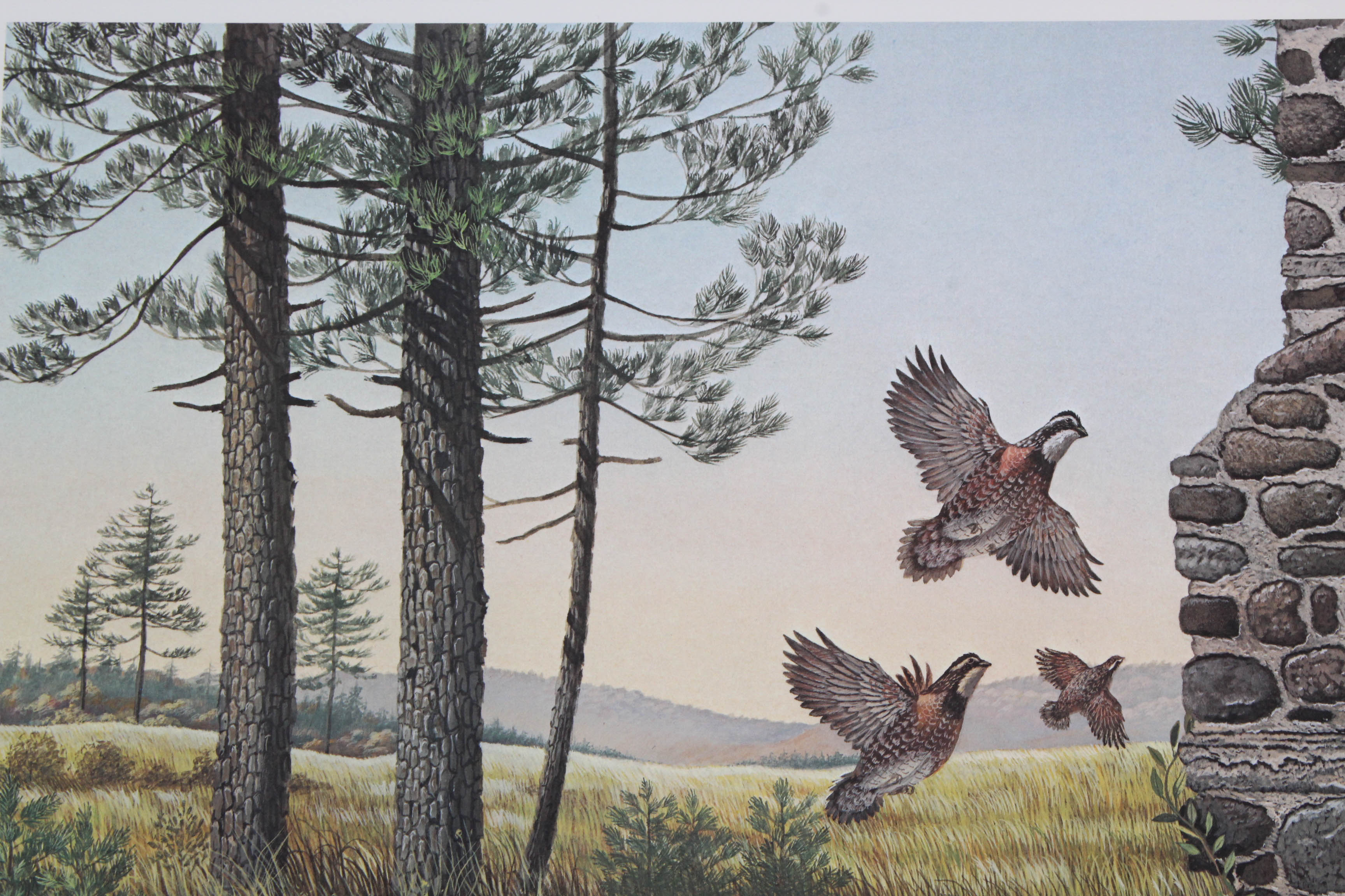 Don Balke Limited Edition Print "Autumn Day"