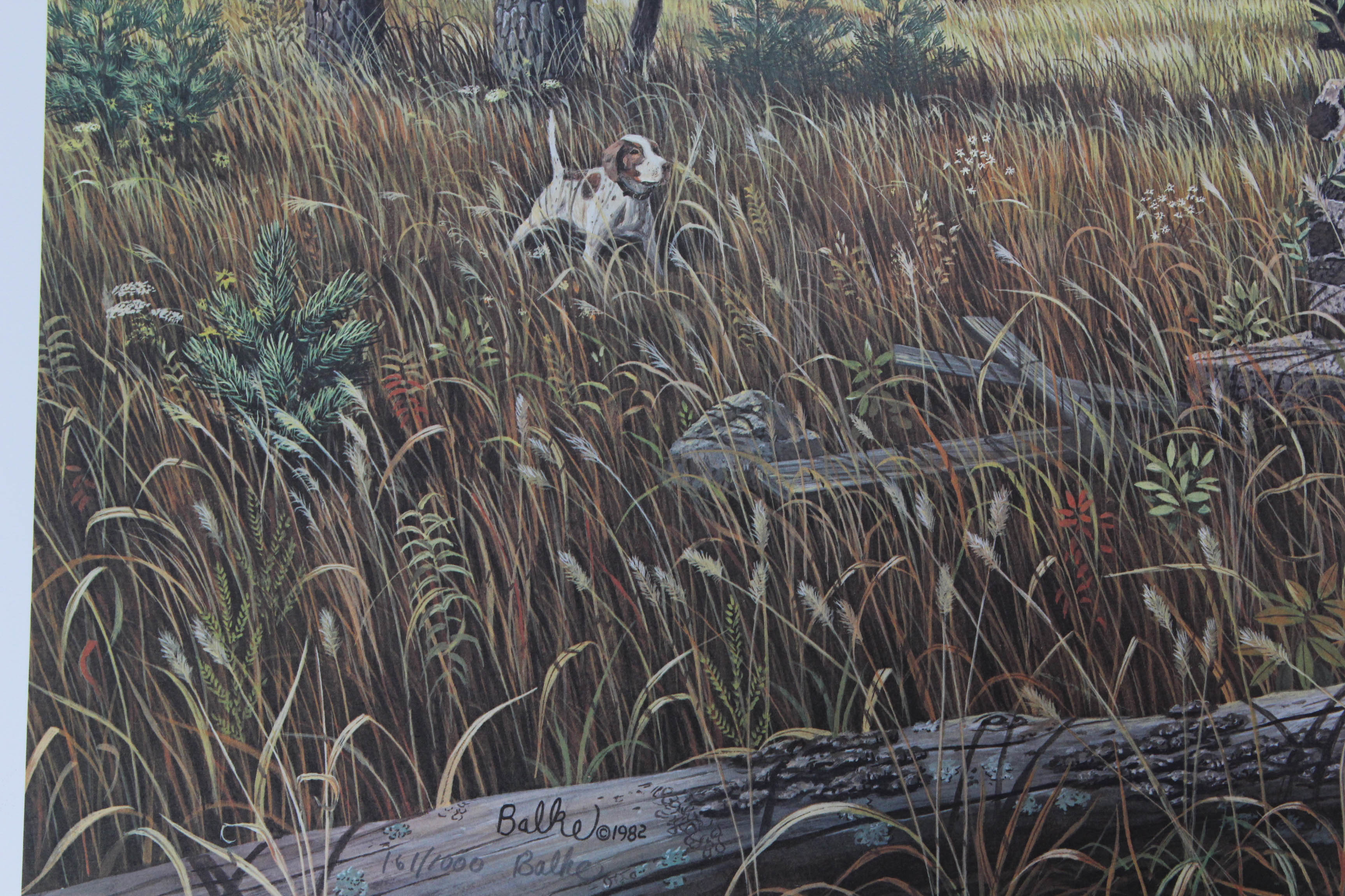 Don Balke Limited Edition Print "Autumn Day"