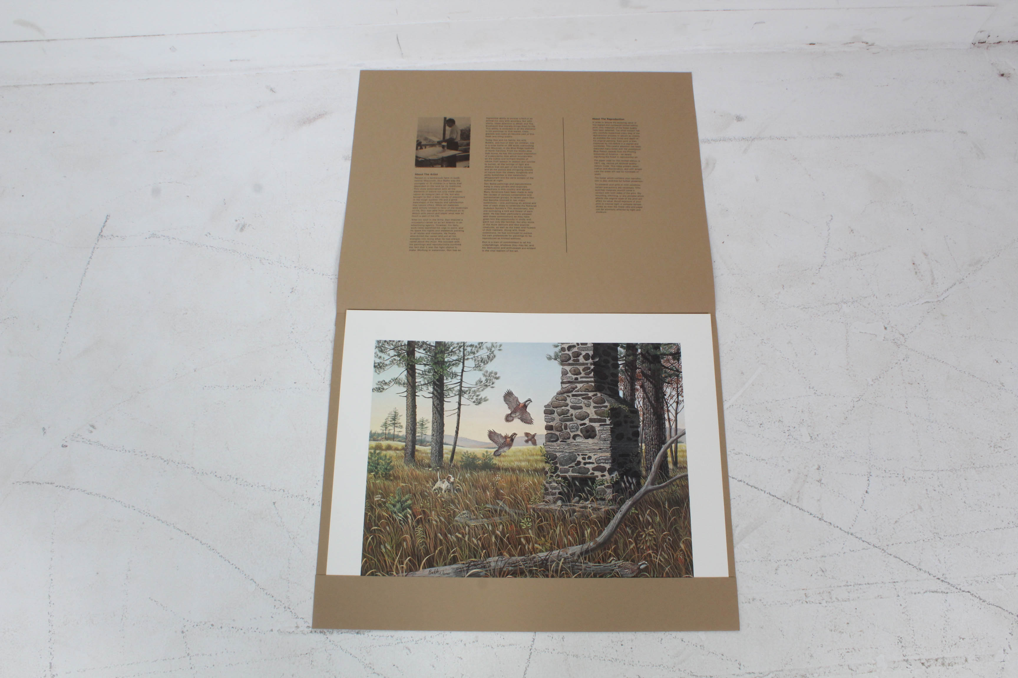 Don Balke Limited Edition Print "Autumn Day"