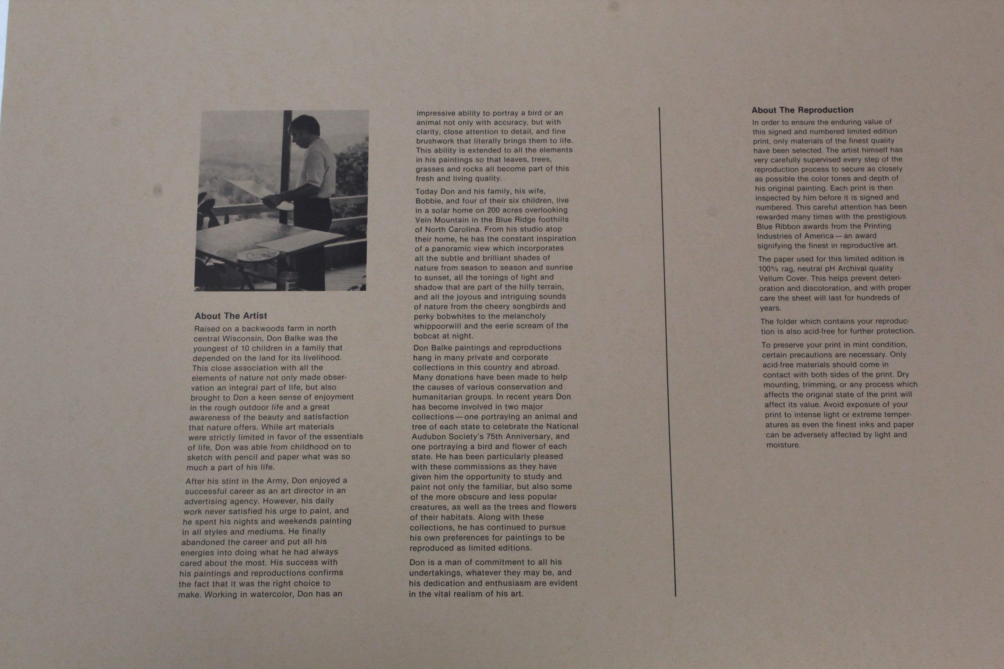 Don Balke Limited Edition Print "Autumn Day"