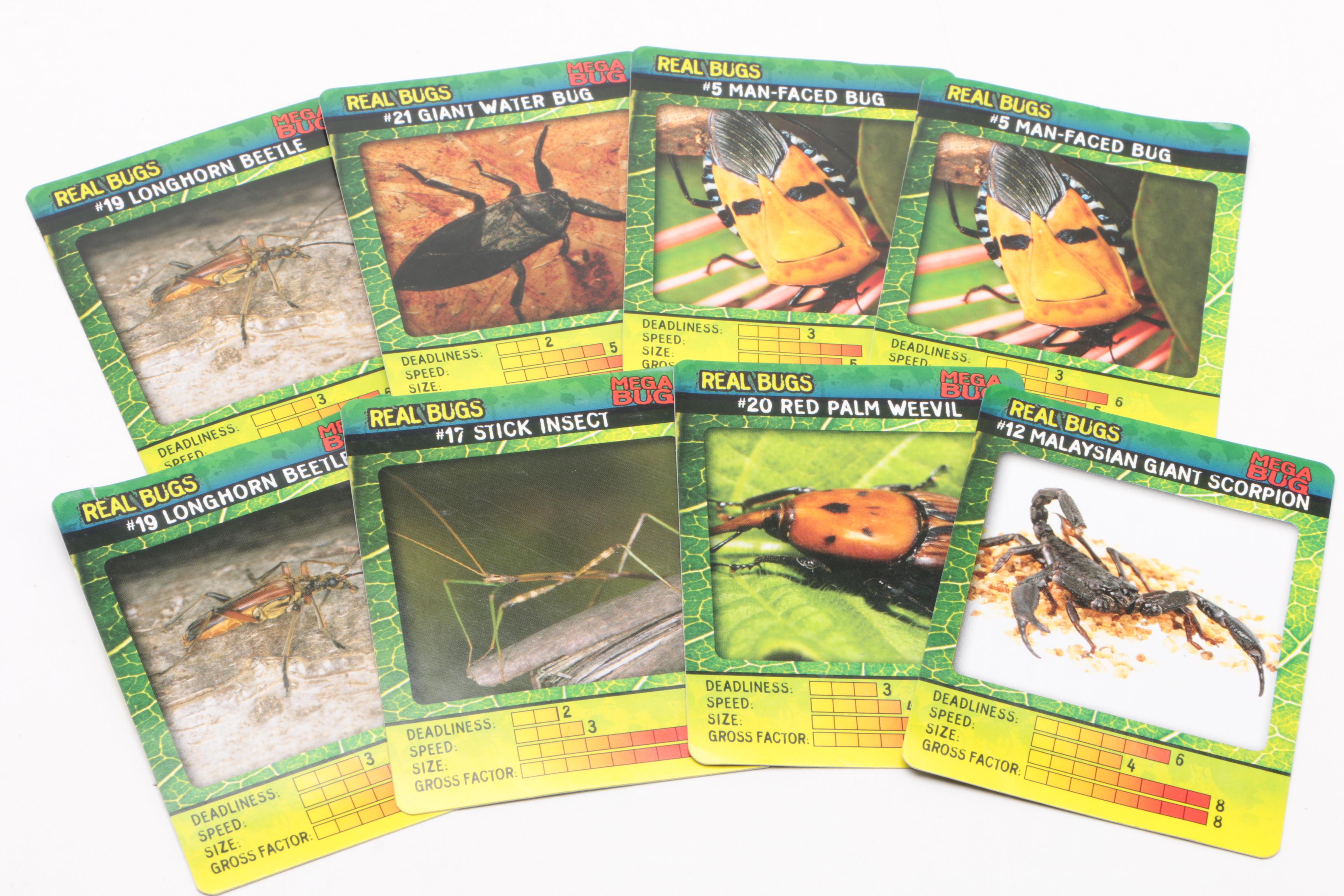 Large Collection of Exotic Specimens and Scorpion Belt Buckle, Cards