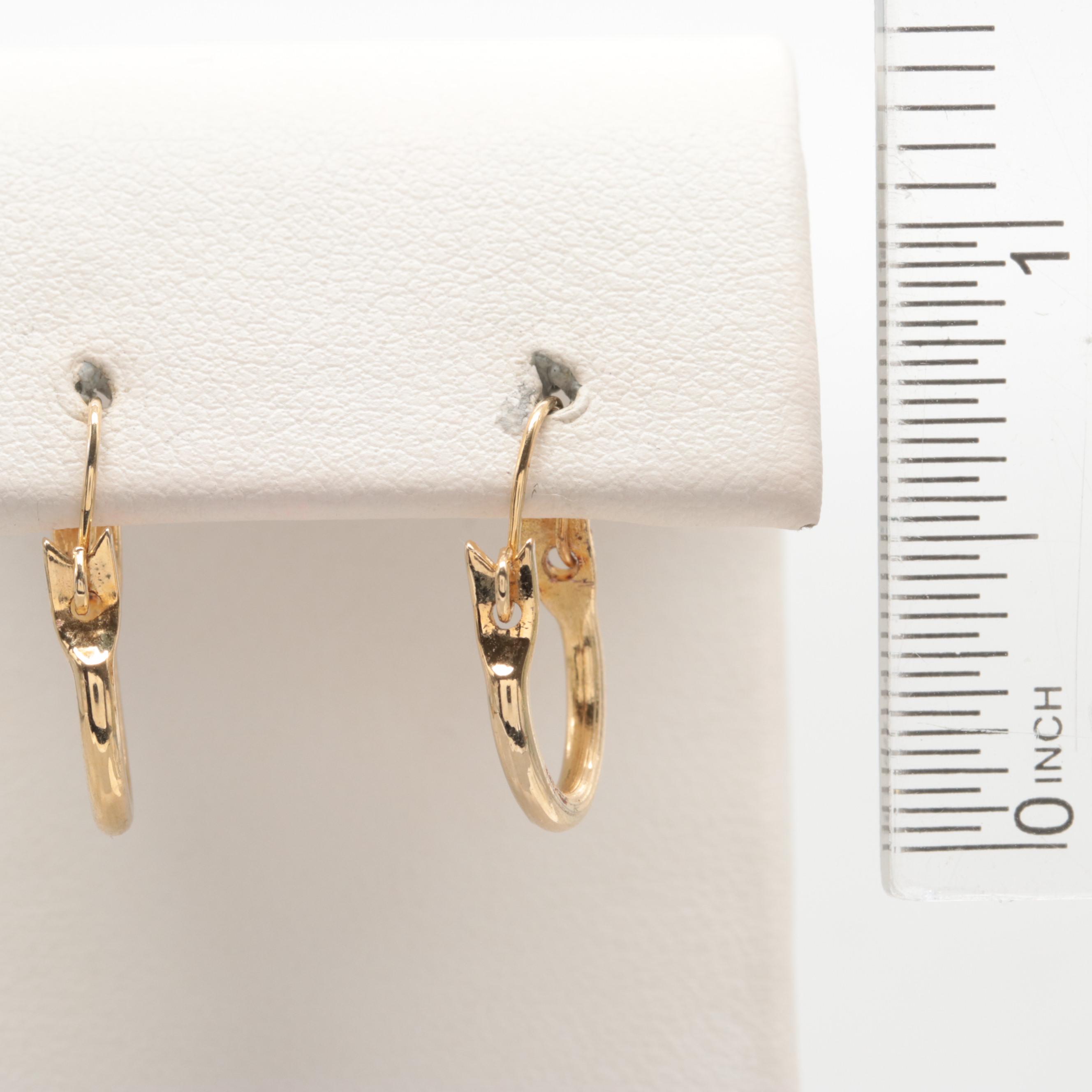 Gold Tone Hoop Earrings
