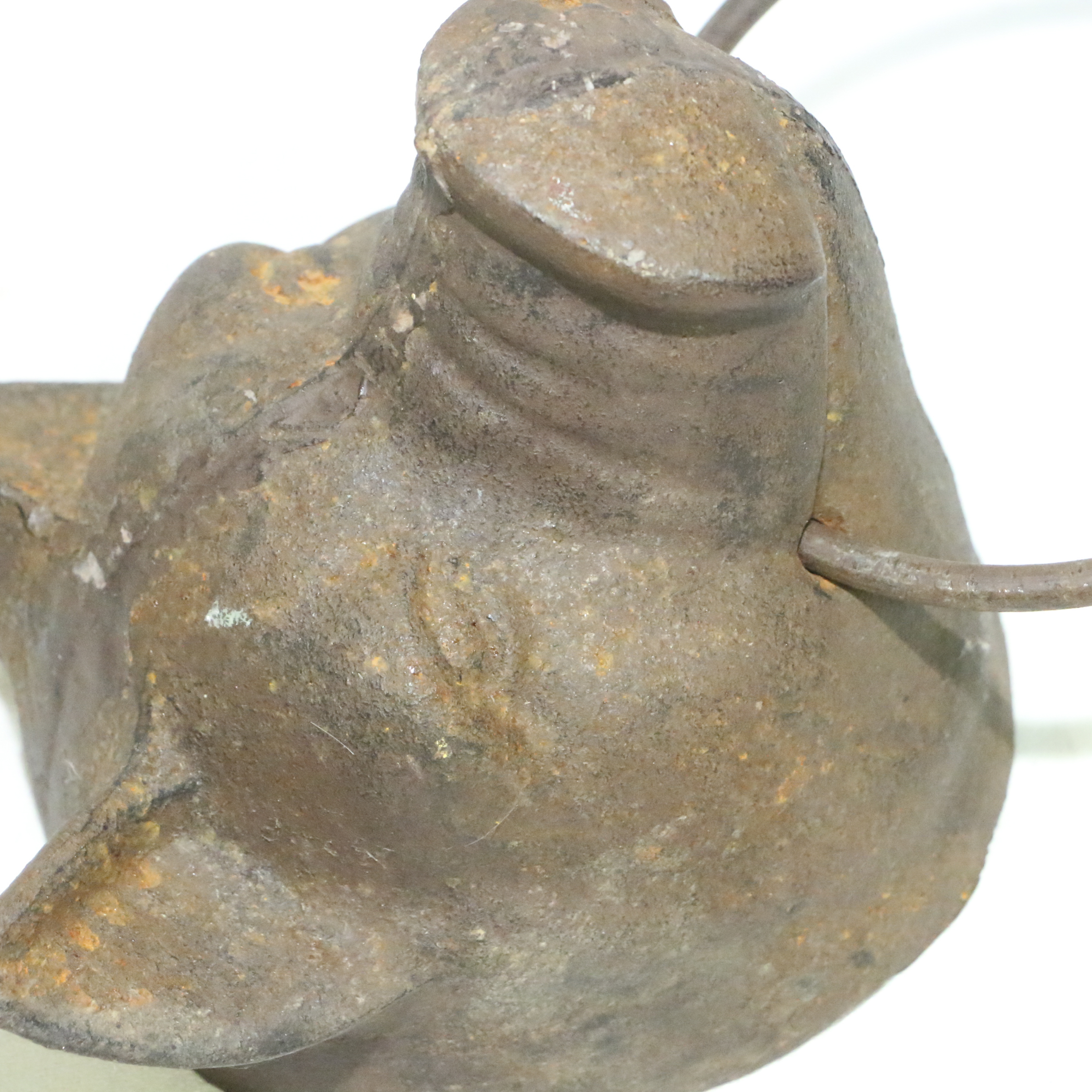 Cast Iron Pig Head with Ring Wall Decor, Early to Mid 20th Century