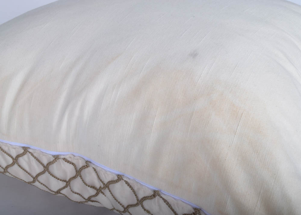 Contemporary Decorative Accent Pillows