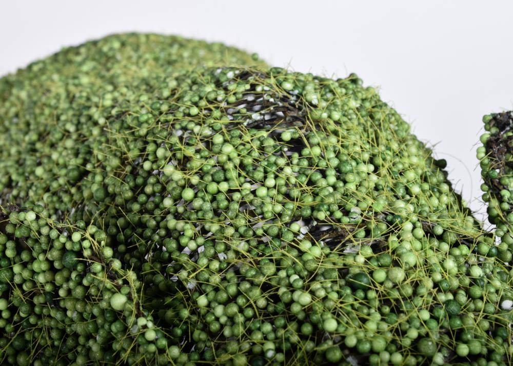 Elephant Tabletop Topiary Figure