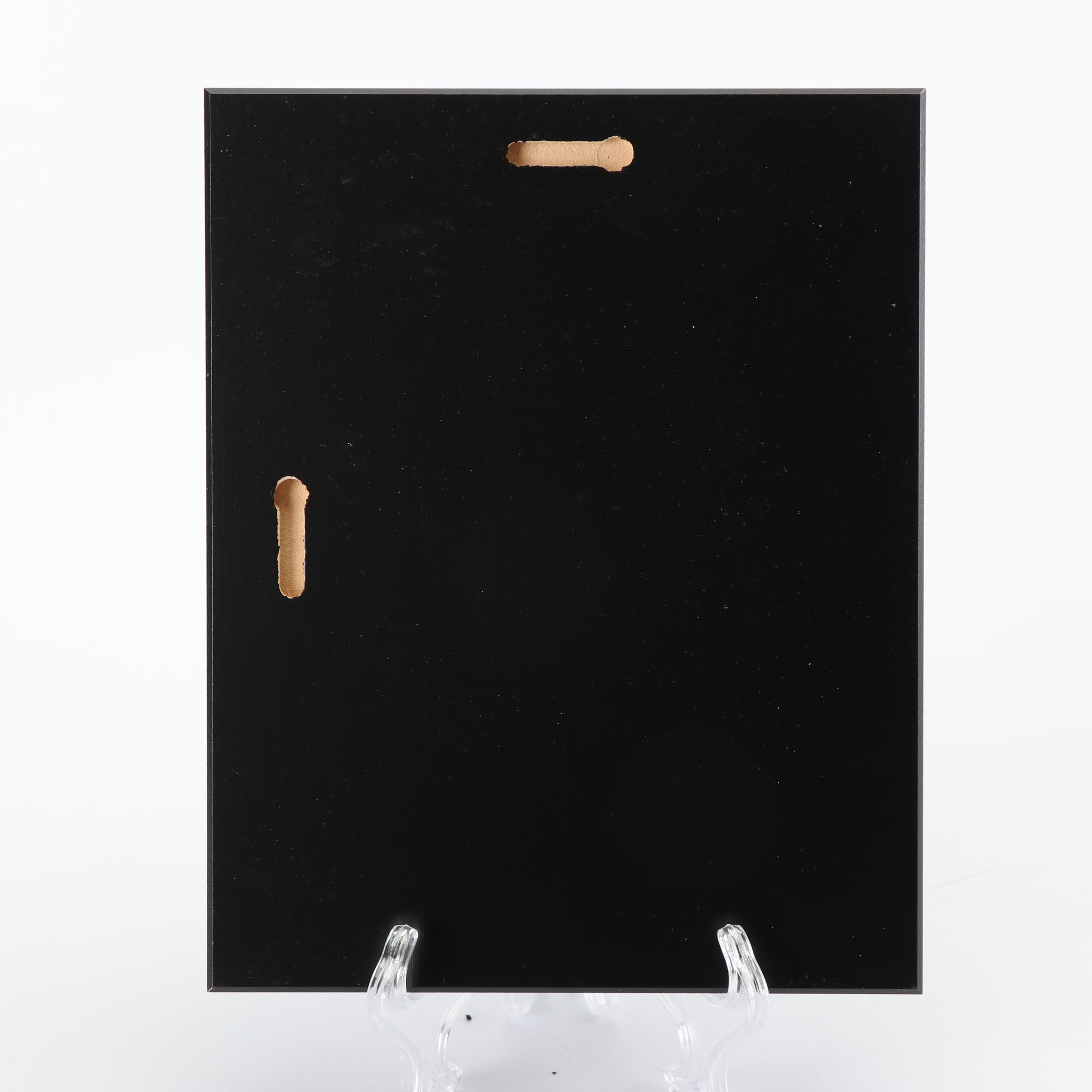 Dallas Cowboys "The Farewell to Texas Stadium" Plaque with Authentic Turf