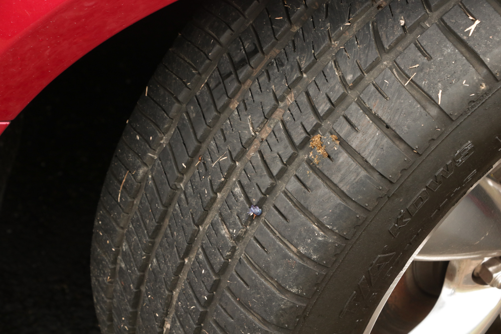 2007 Ford Mustang GT California Series