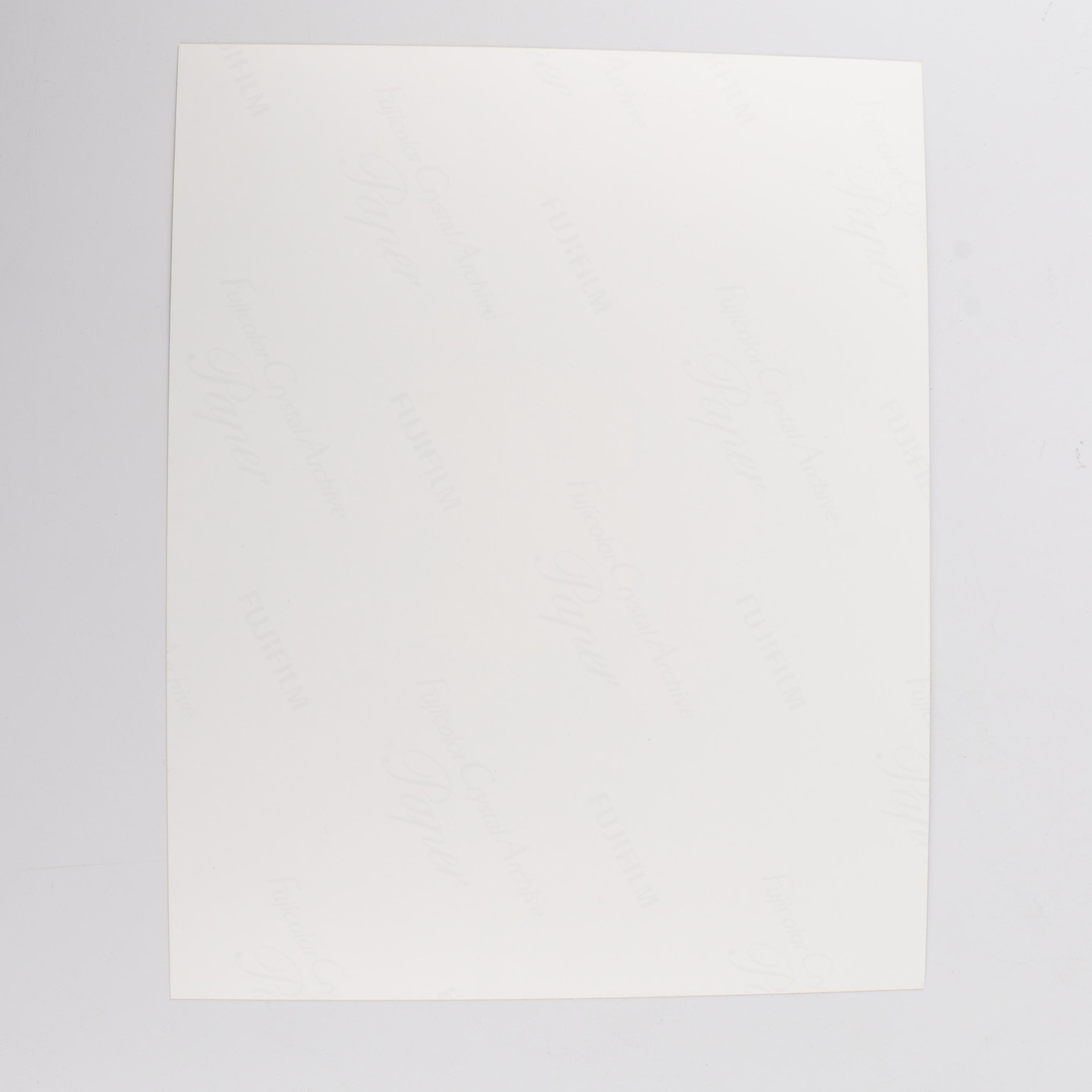 Tommy Chong Autographed Digital Print "Cheech and Chong's Animated Movie" - COA