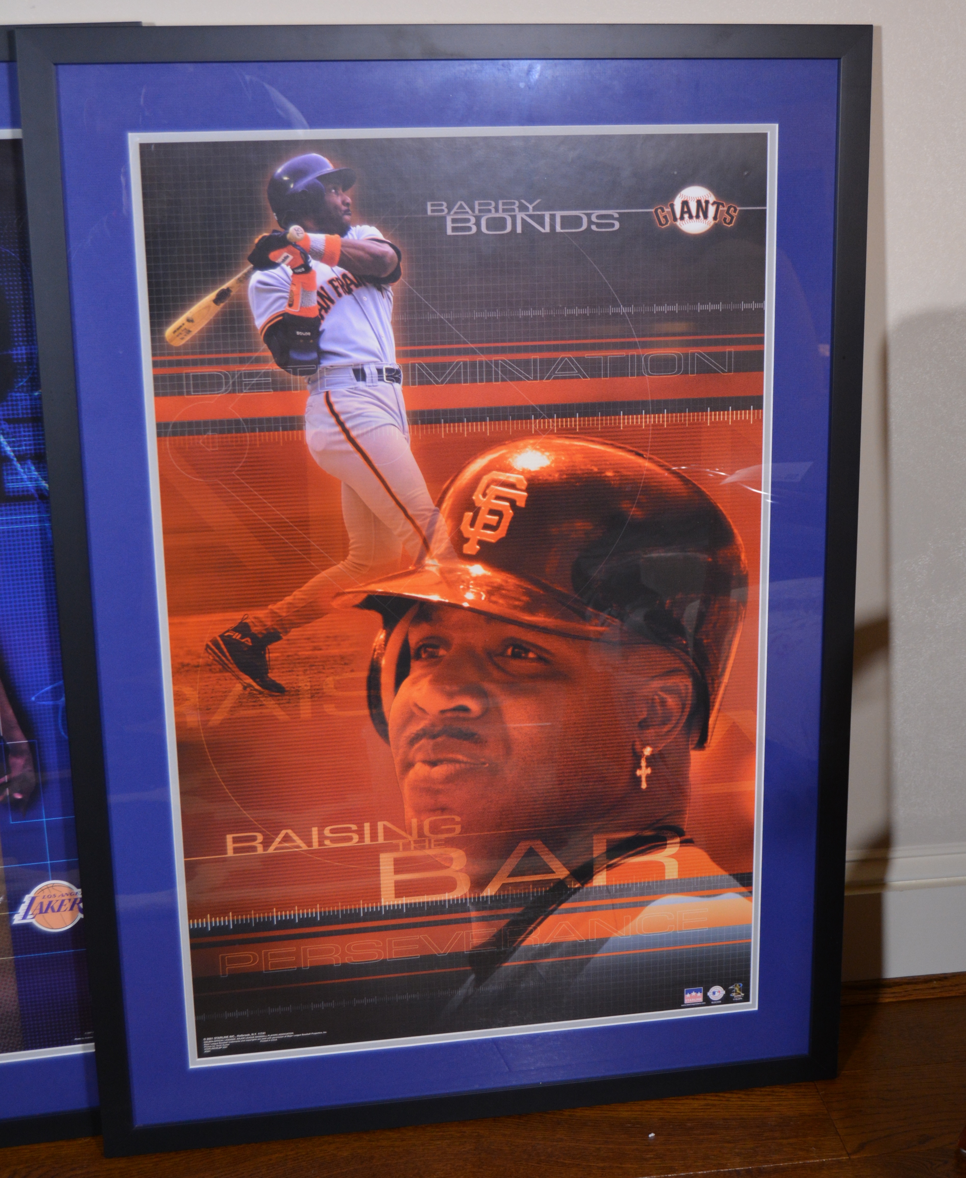 Framed Sports Posters