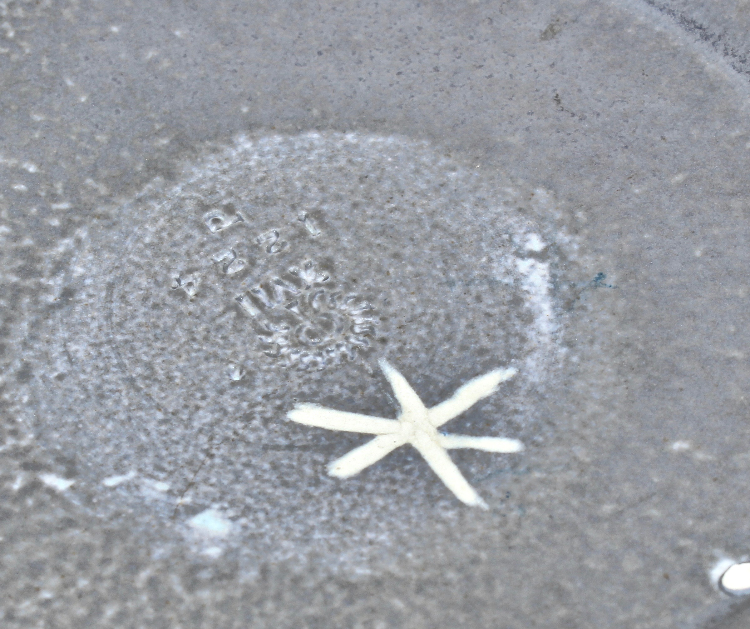 1917 Rookwood Pottery Ceramic Handled Bowl