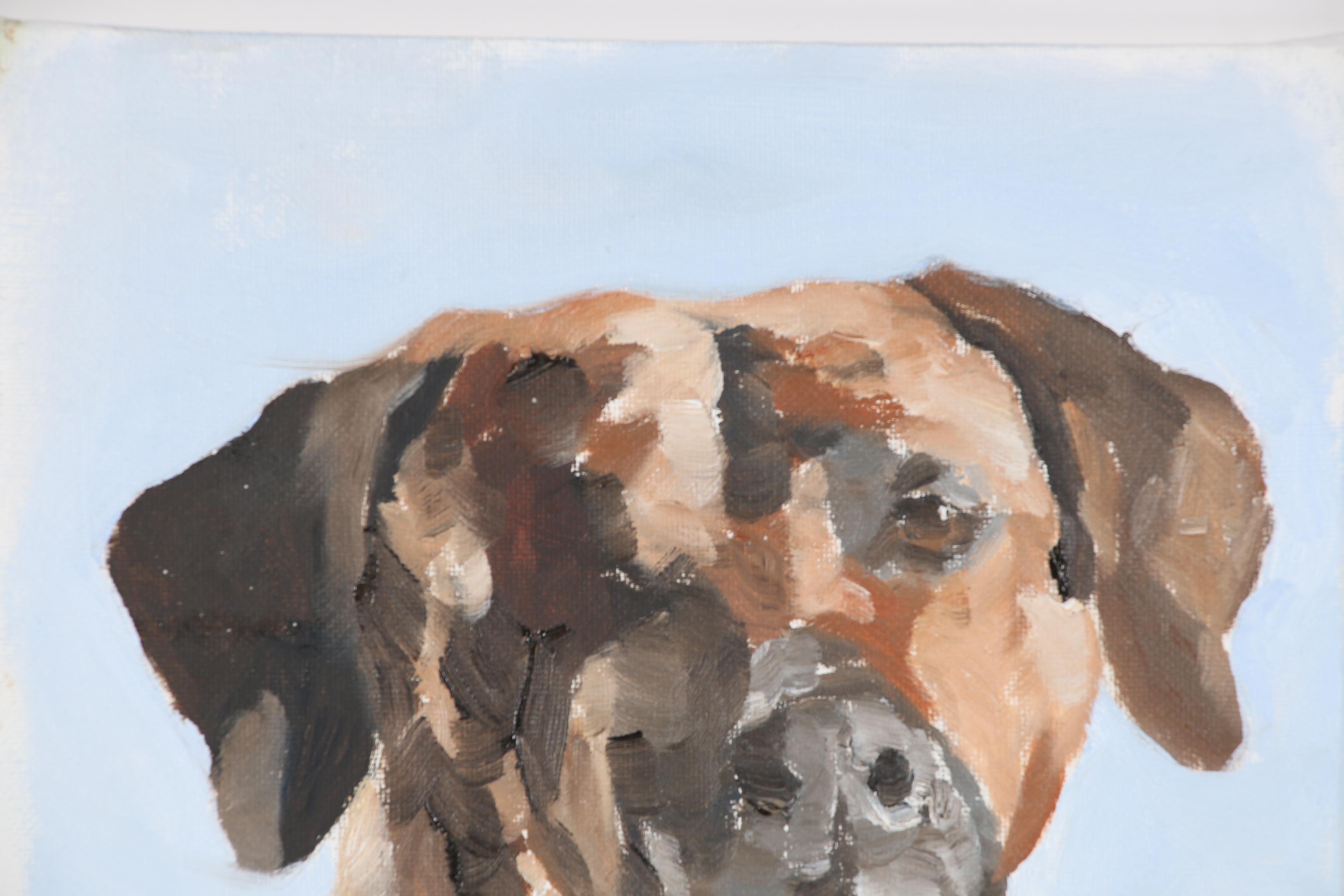James Coates Oil Painting of a Dog